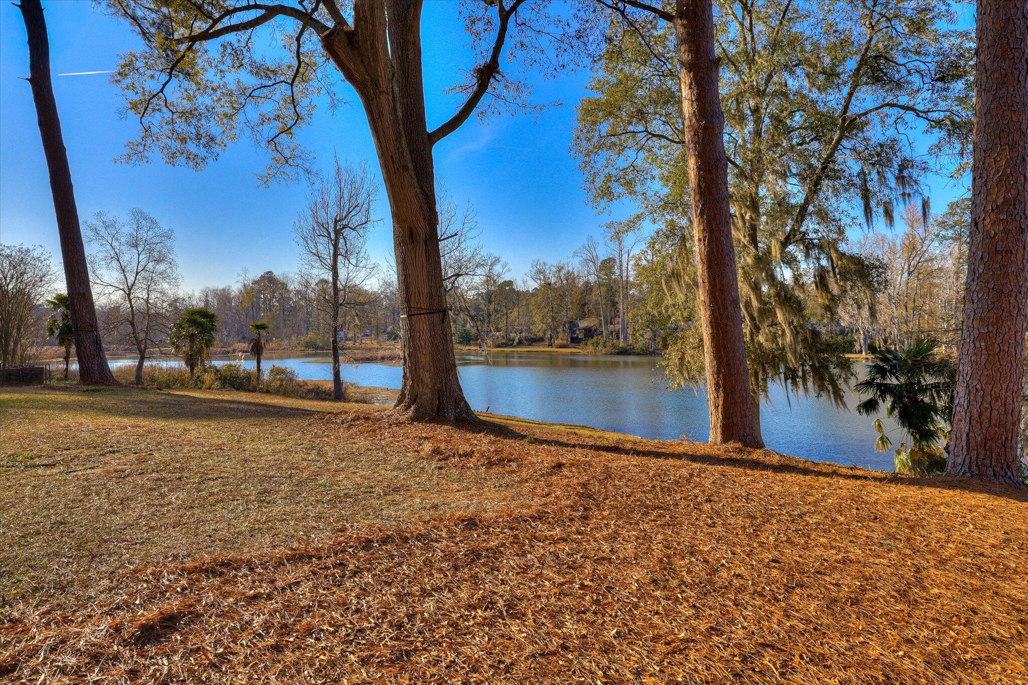 134 Lake Bluff Drive Property Photo 56
