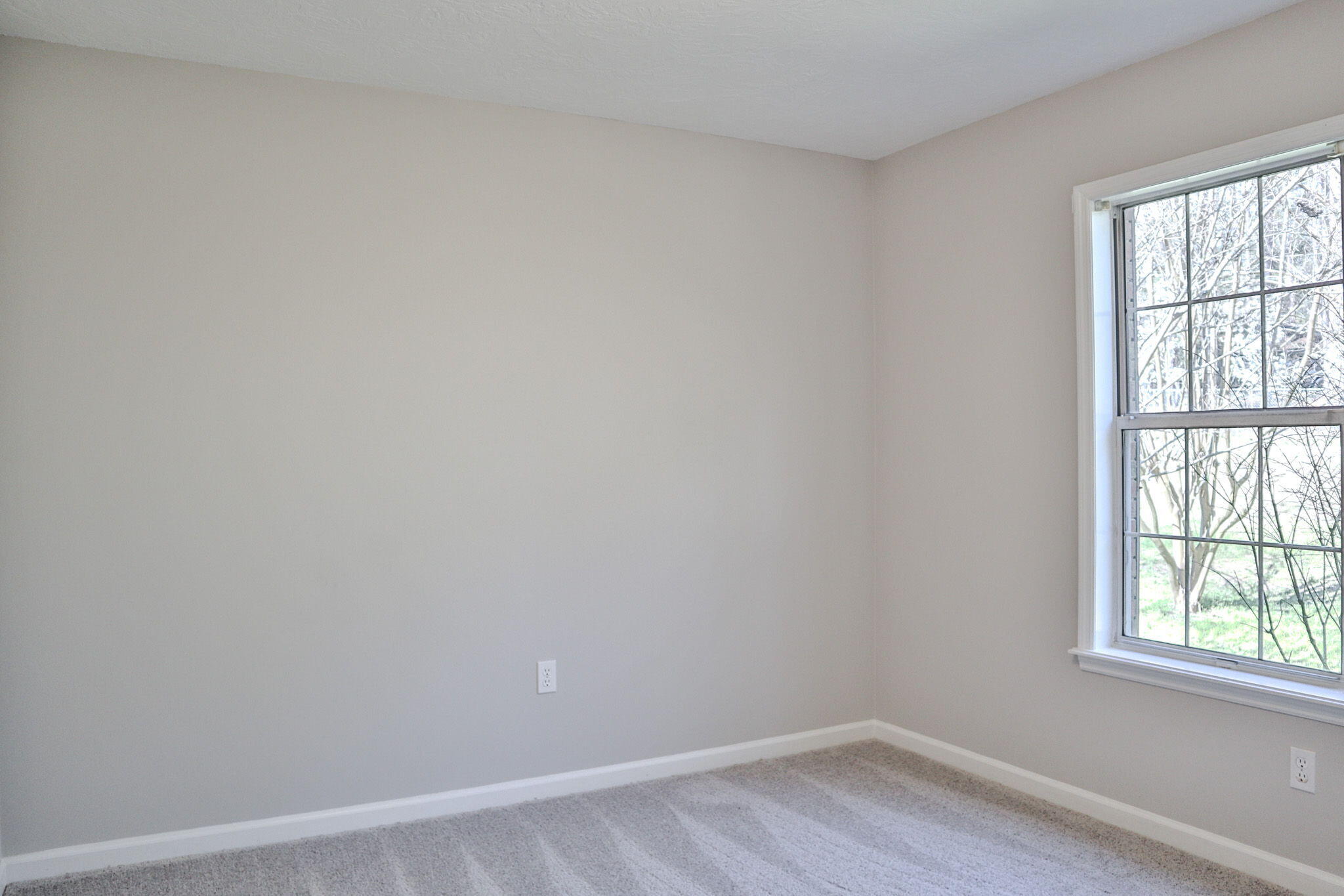 715 Spooner Drive Property Photo 43