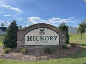 378 Tupelo Pass Property Photo 46