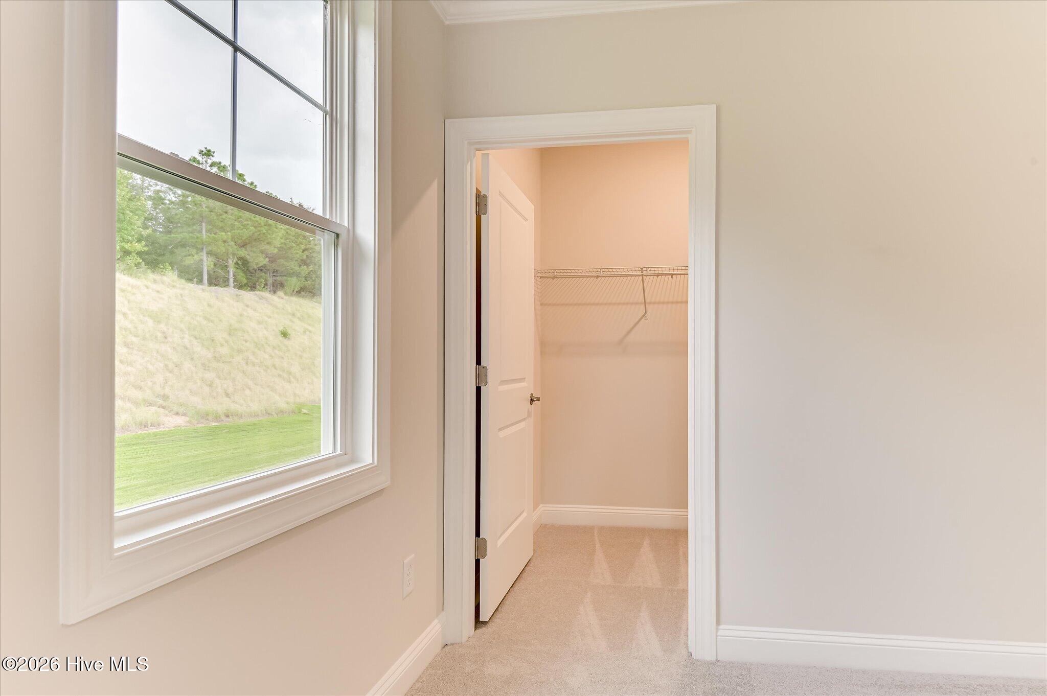 178 Collin Reeds Road Property Photo 41