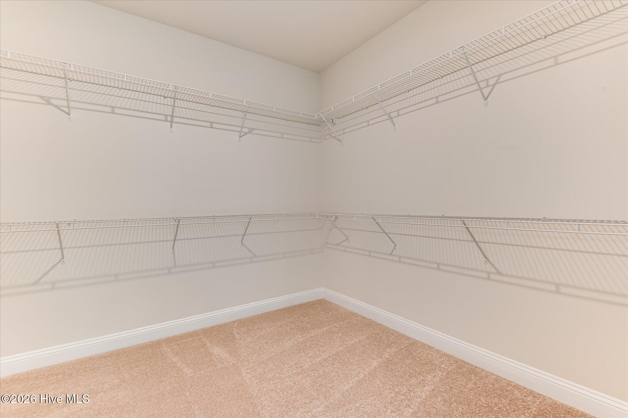 174 Collin Reeds Road Property Photo 42