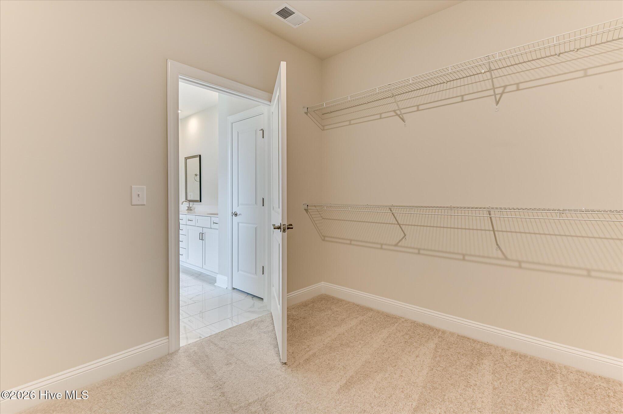 174 Collin Reeds Road Property Photo 43