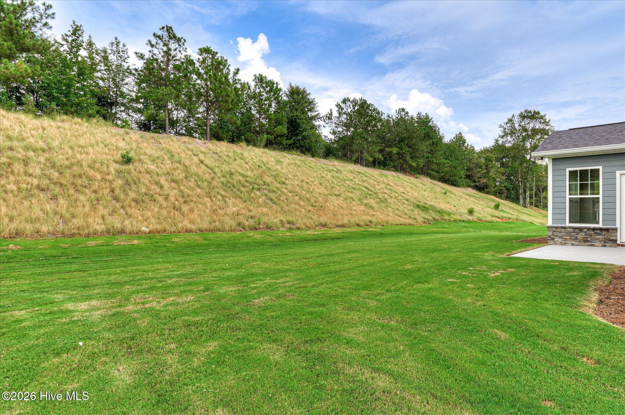 174 Collin Reeds Road Property Photo 67