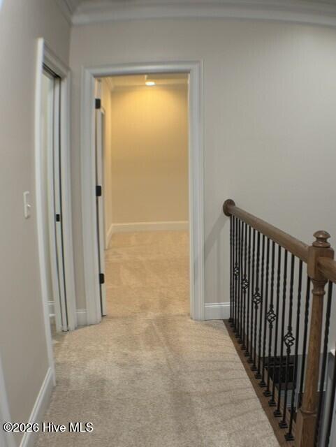 9060 Winterton Street Property Photo 38