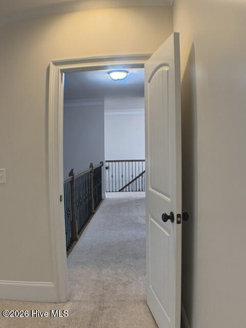 9060 Winterton Street Property Photo 43