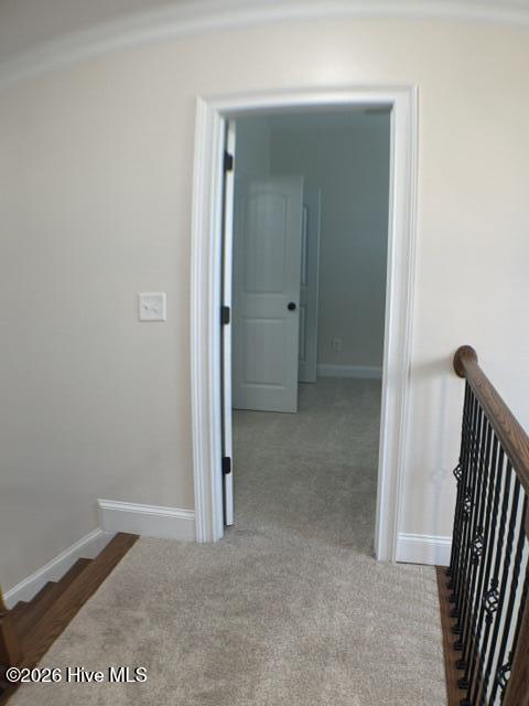 9060 Winterton Street Property Photo 58