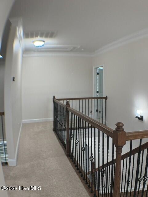 9060 Winterton Street Property Photo 59