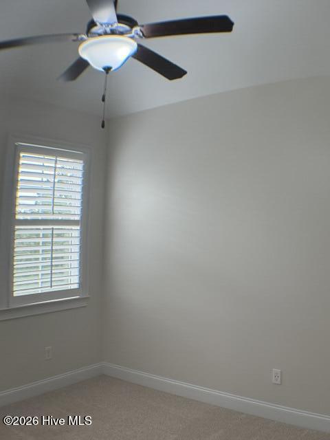 9060 Winterton Street Property Photo 65