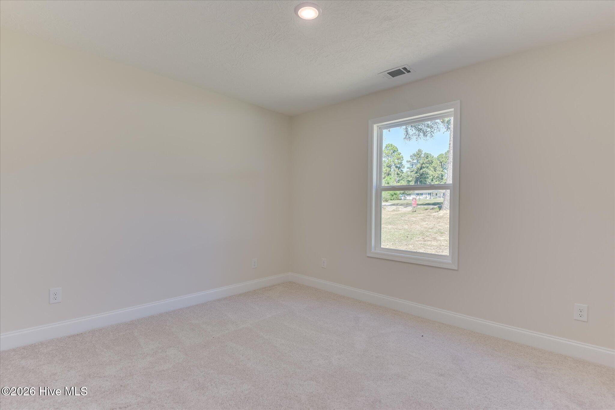 2096 Storm Branch Property Photo 23