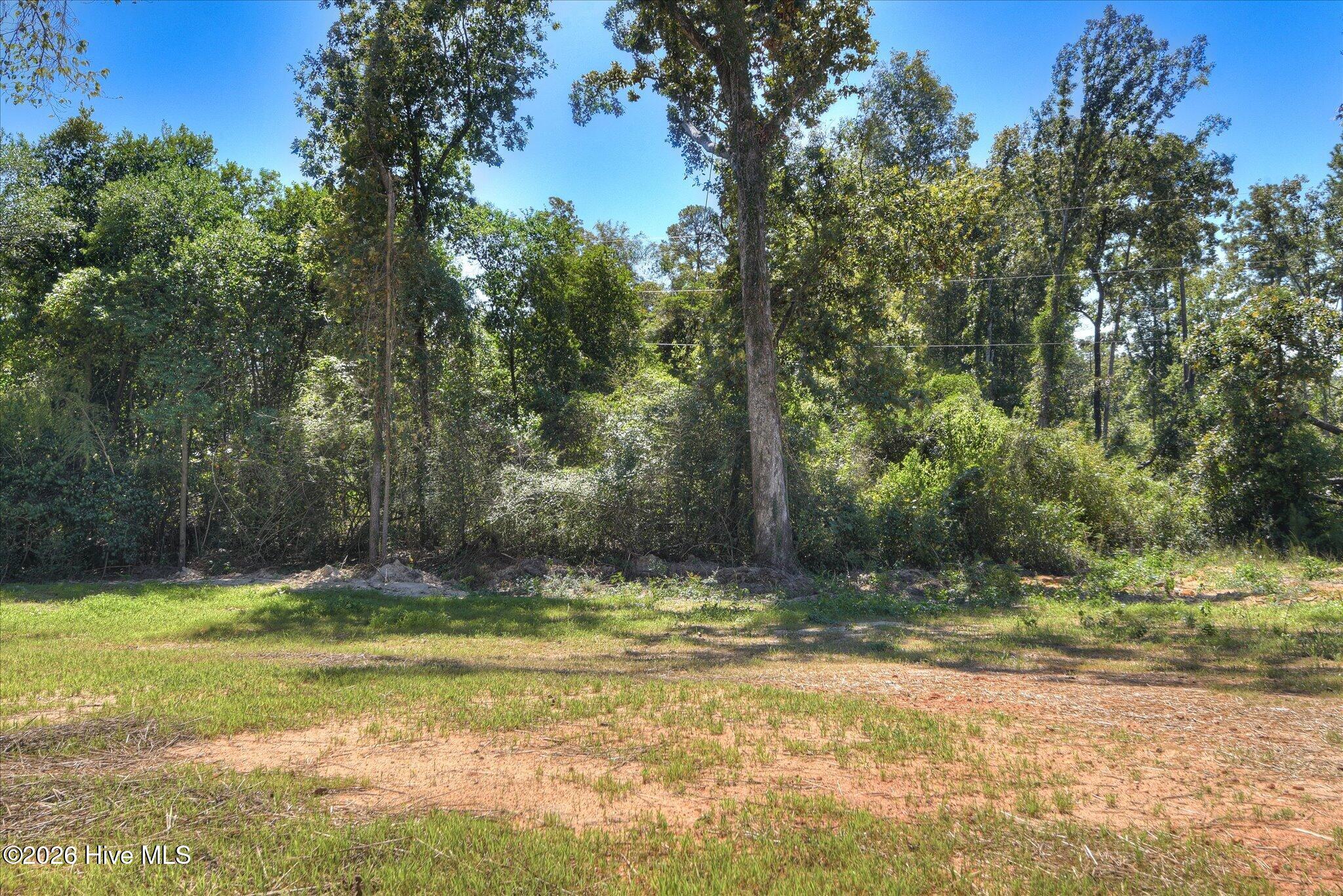 2096 Storm Branch Property Photo 25