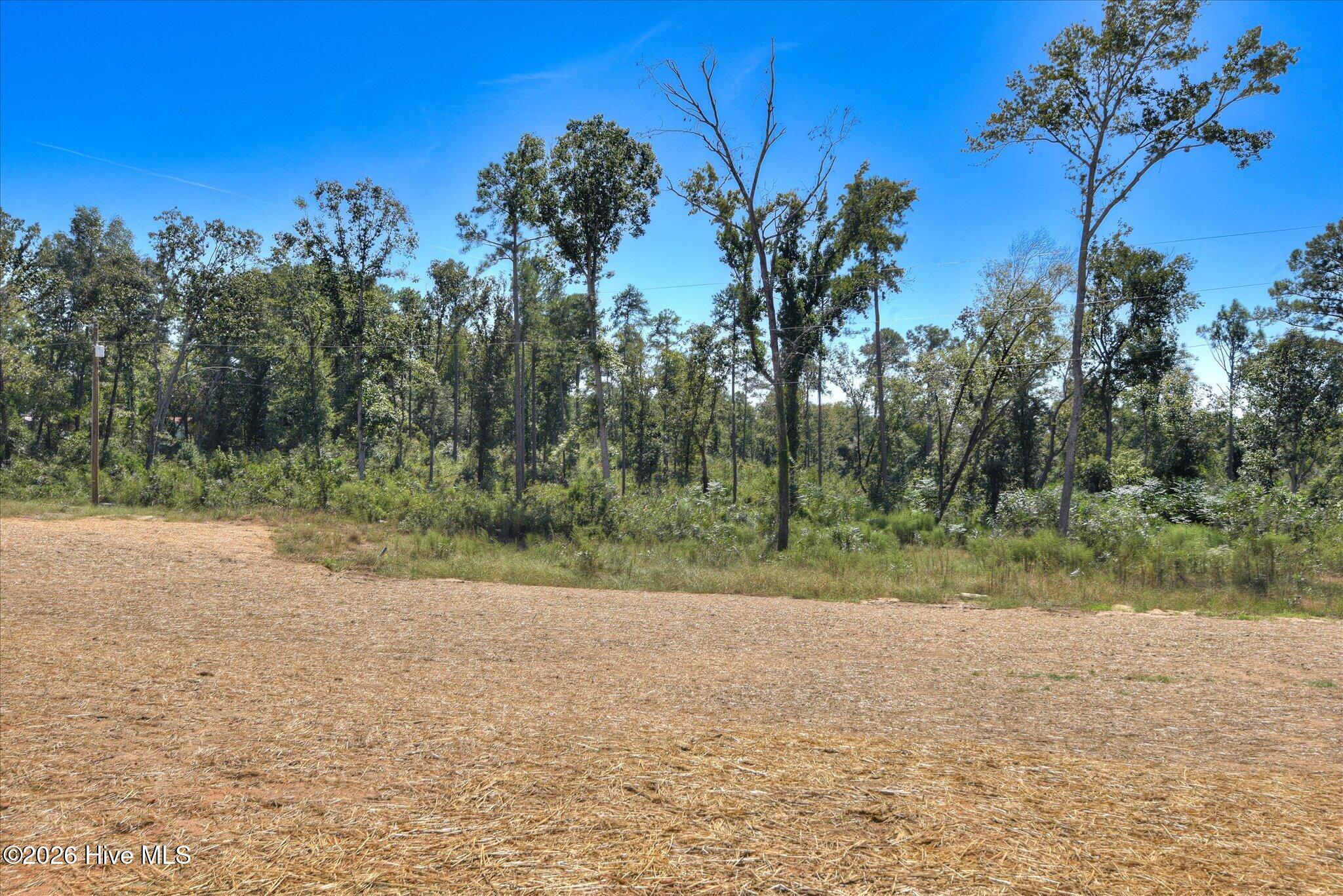 2062 Storm Branch Road Property Photo 25