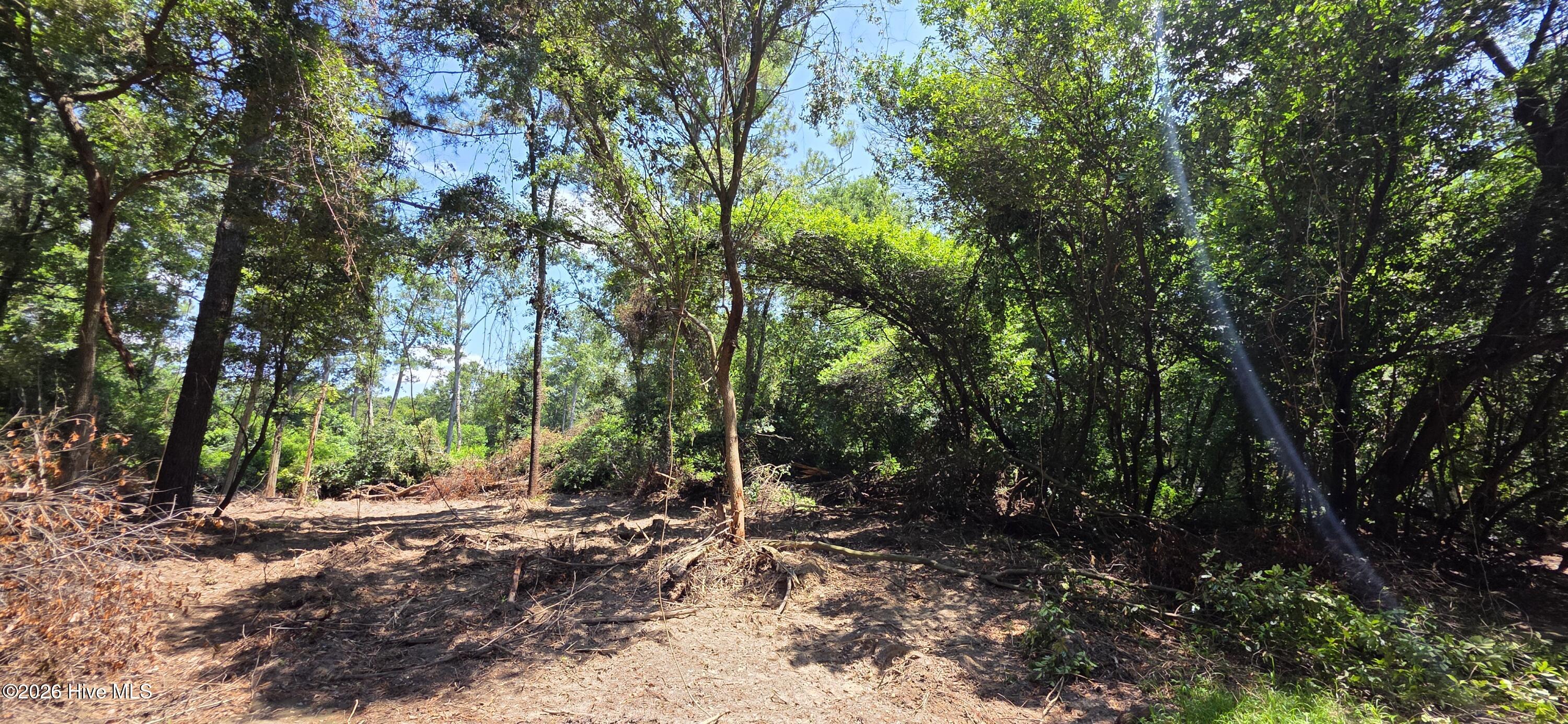 B Caprice Lane Property Photo 1