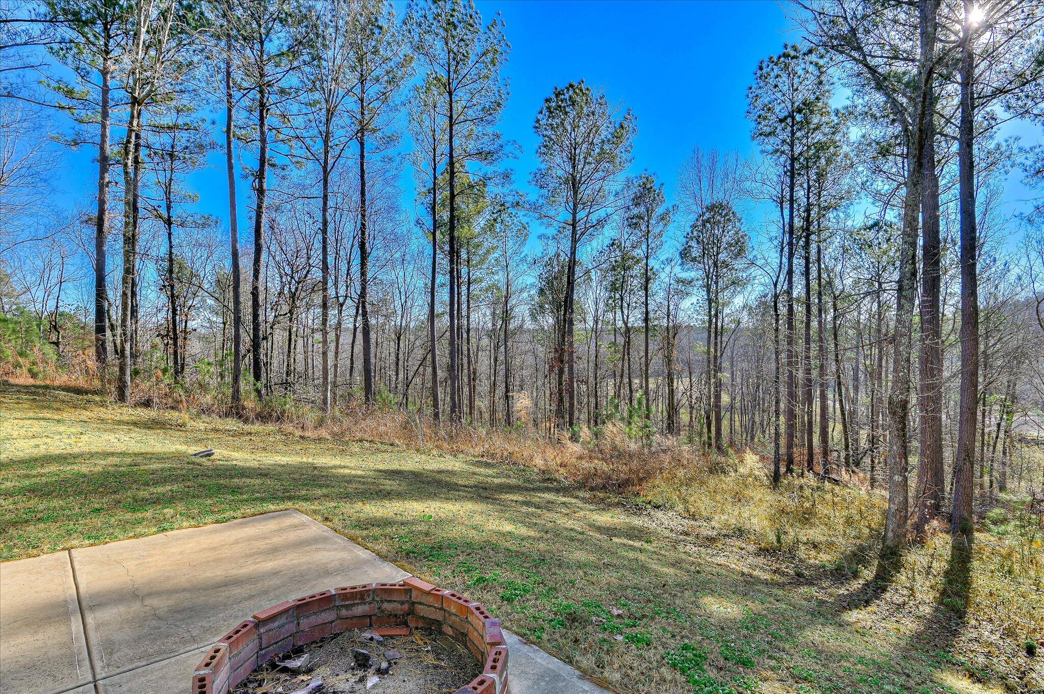 955 Colonel Shaw's Way Property Photo 38