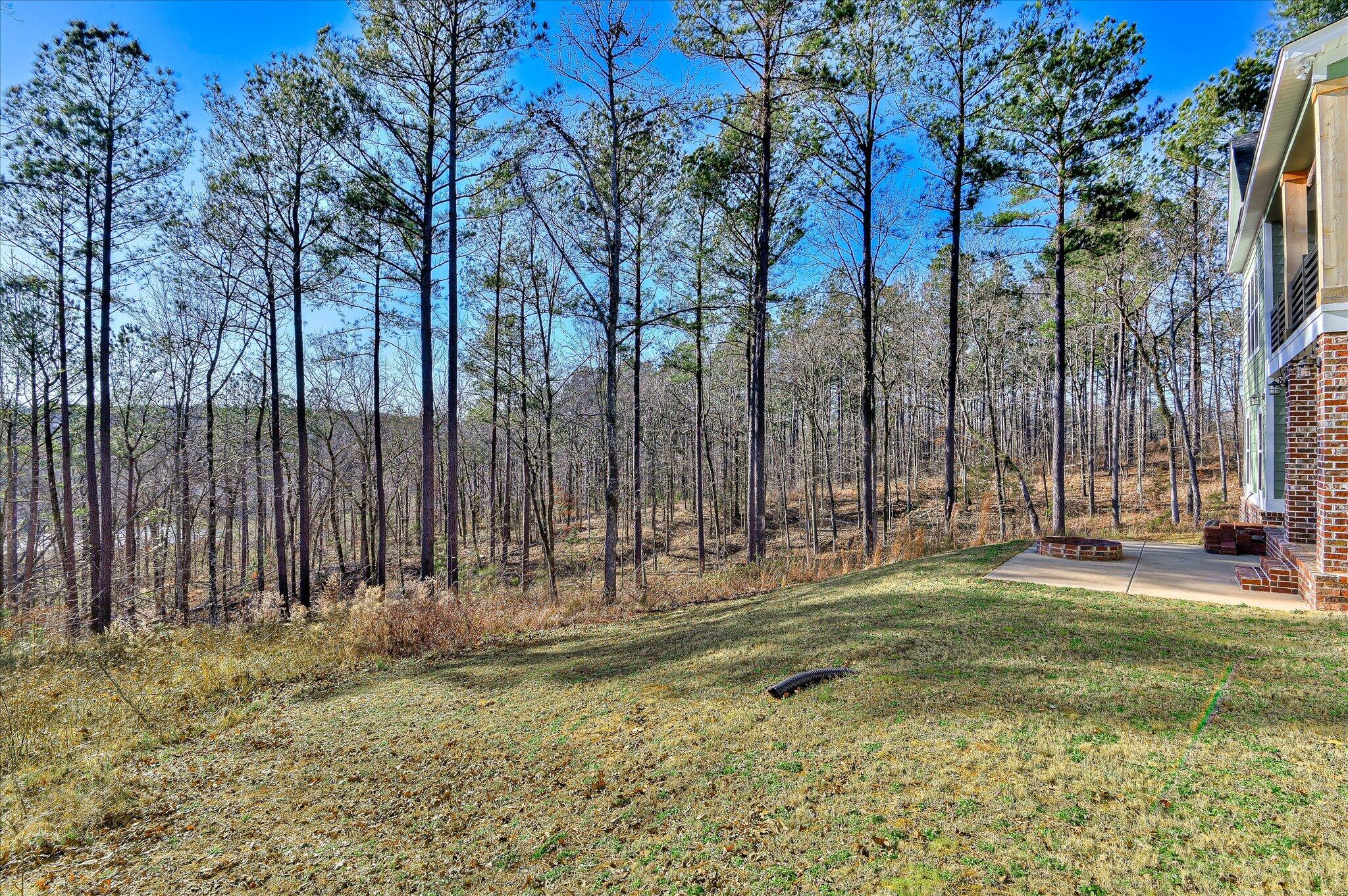 955 Colonel Shaw's Way Property Photo 41