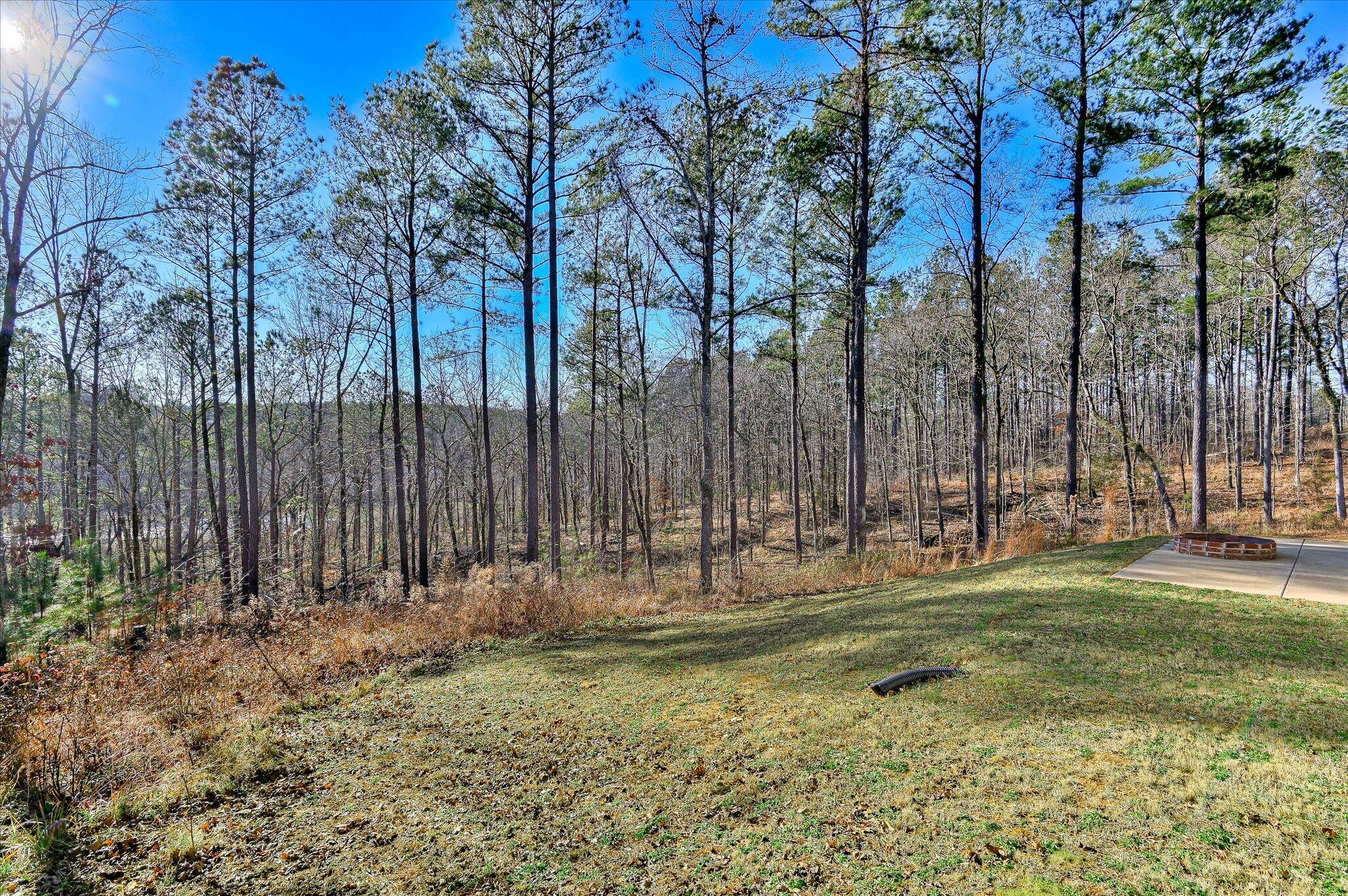 955 Colonel Shaw's Way Property Photo 42