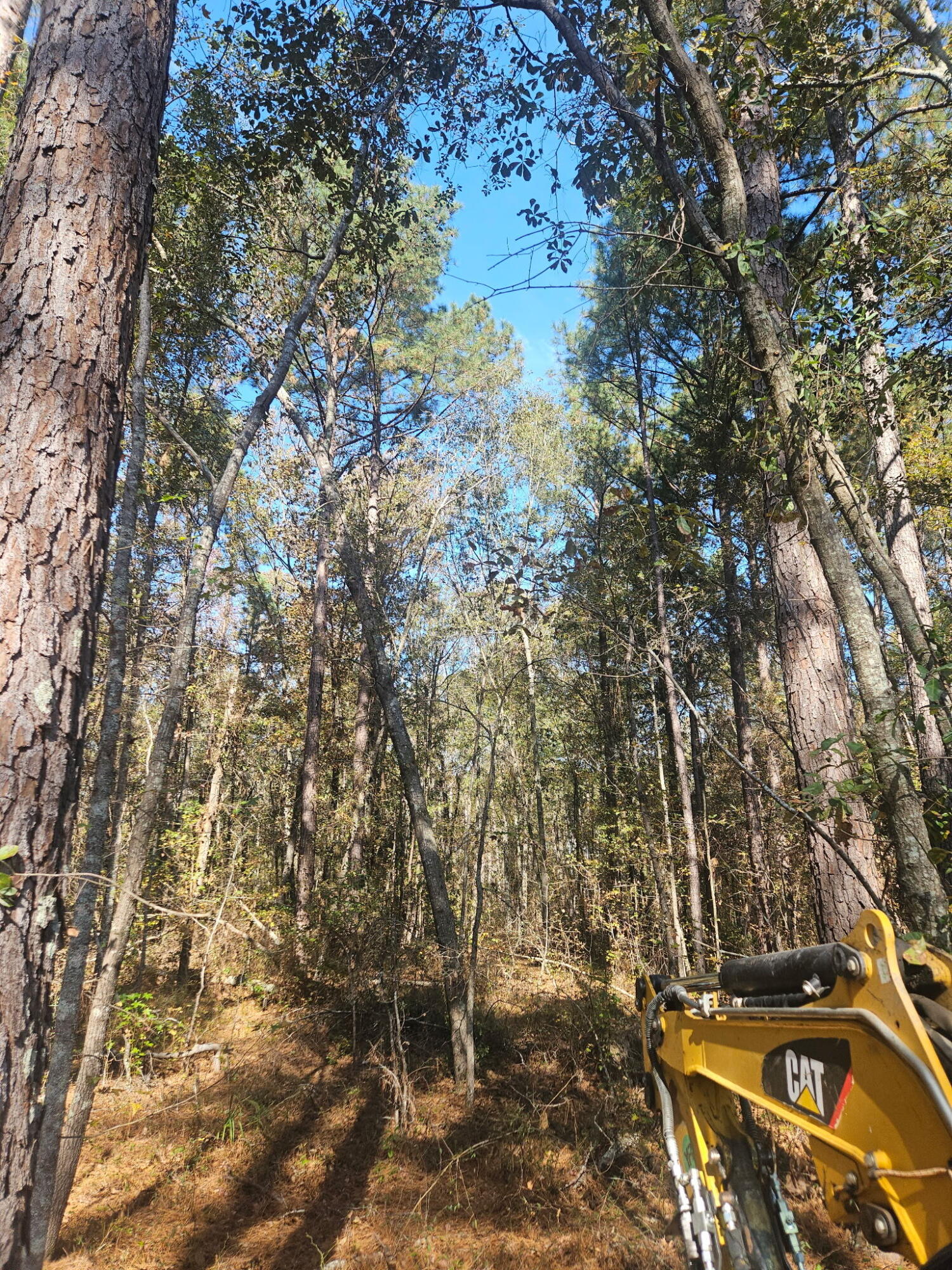 3979 Campground Road Property Photo 3