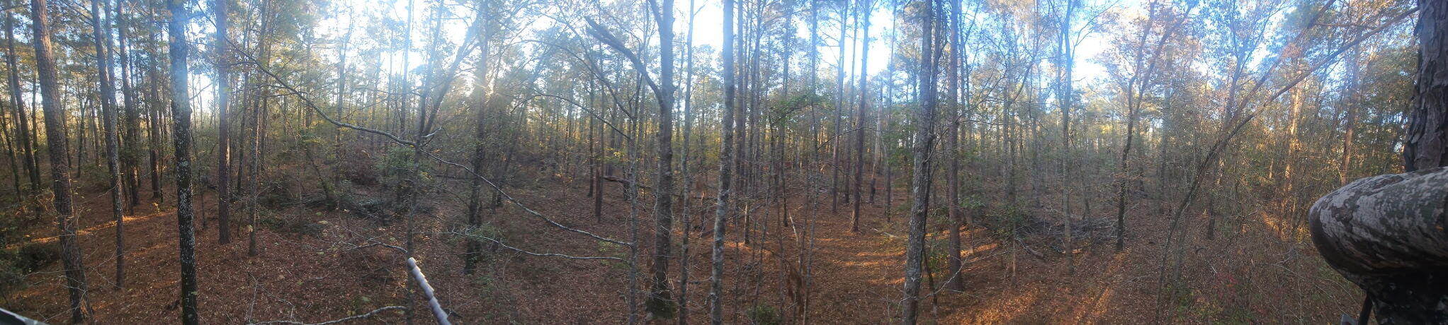 3979 Campground Road Property Photo 6