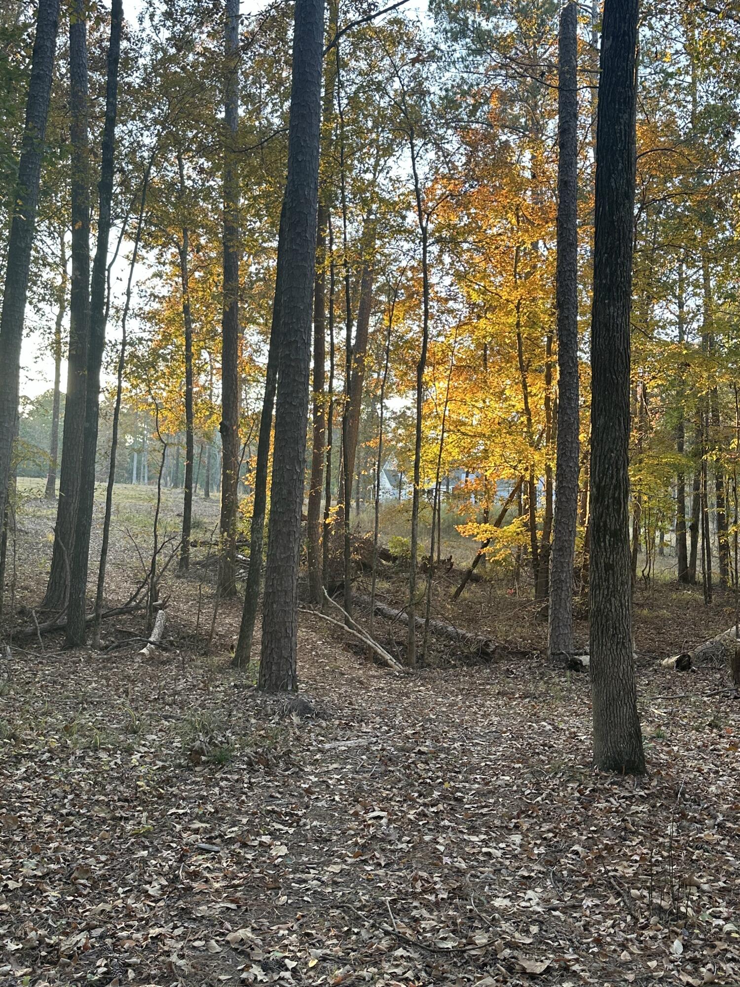 9-3 Long Cove Property Photo 1