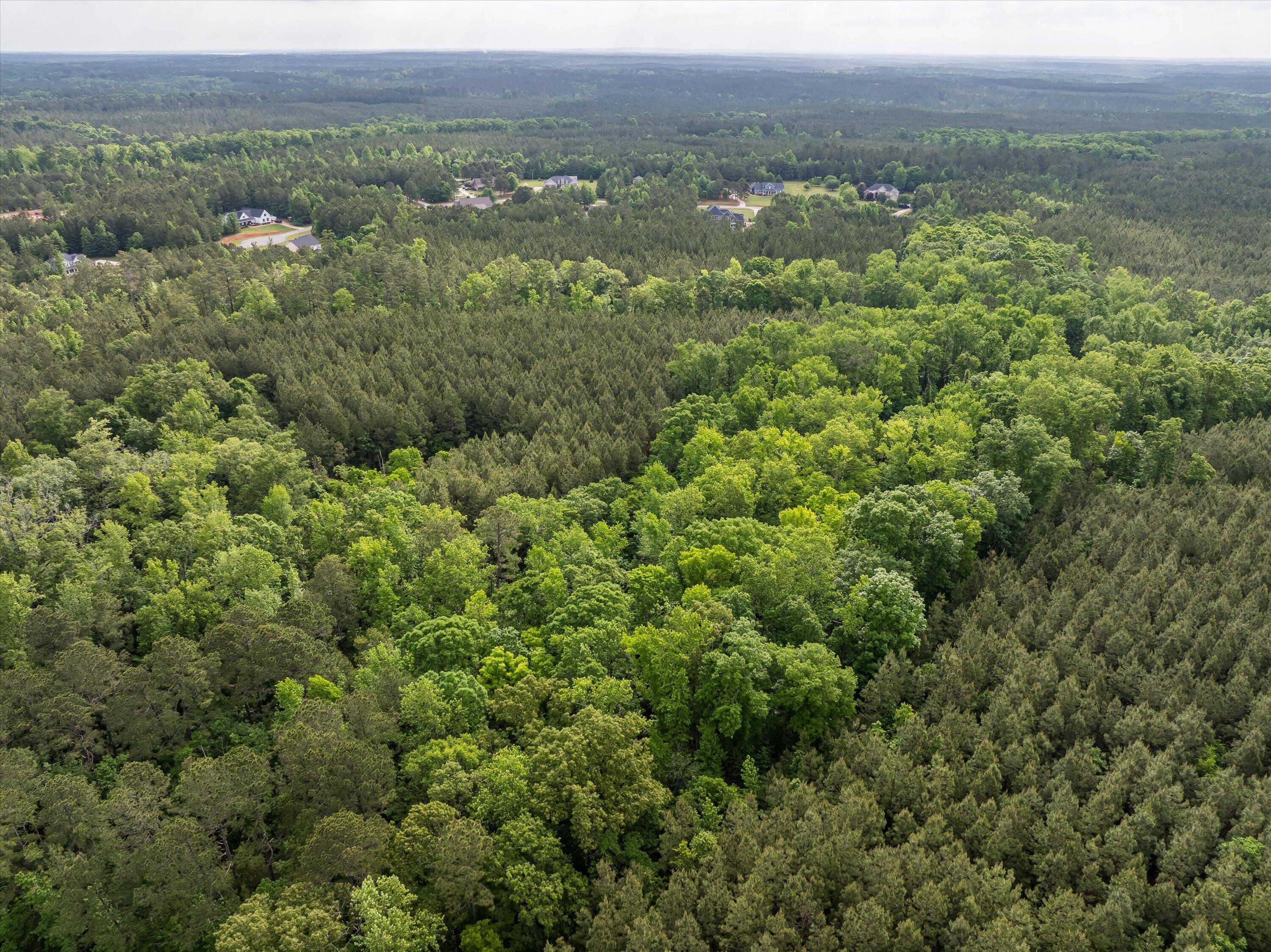 5760 Tract B Cobbham Road Property Photo 15