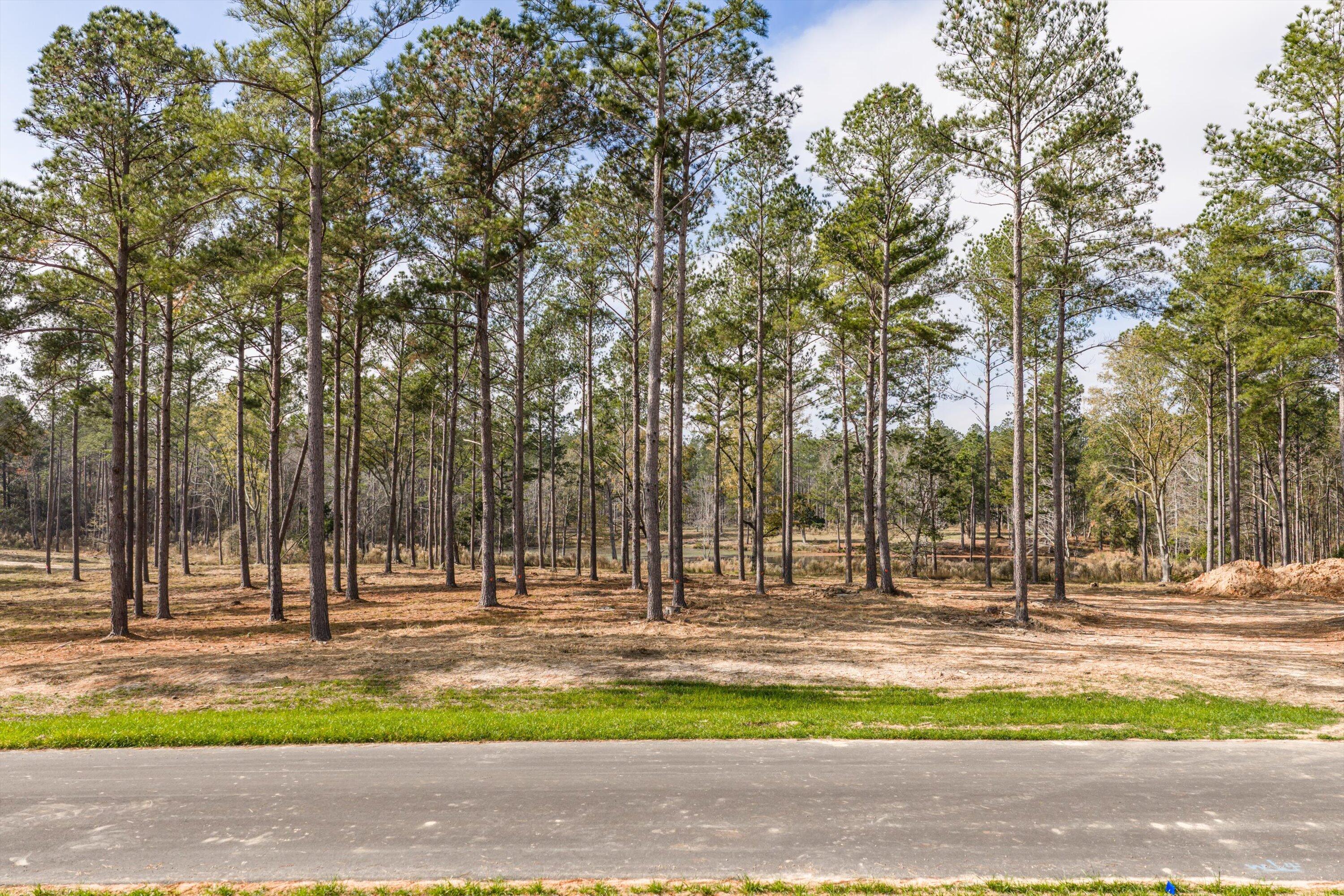 128 Beagle Chase Drive Property Photo 3