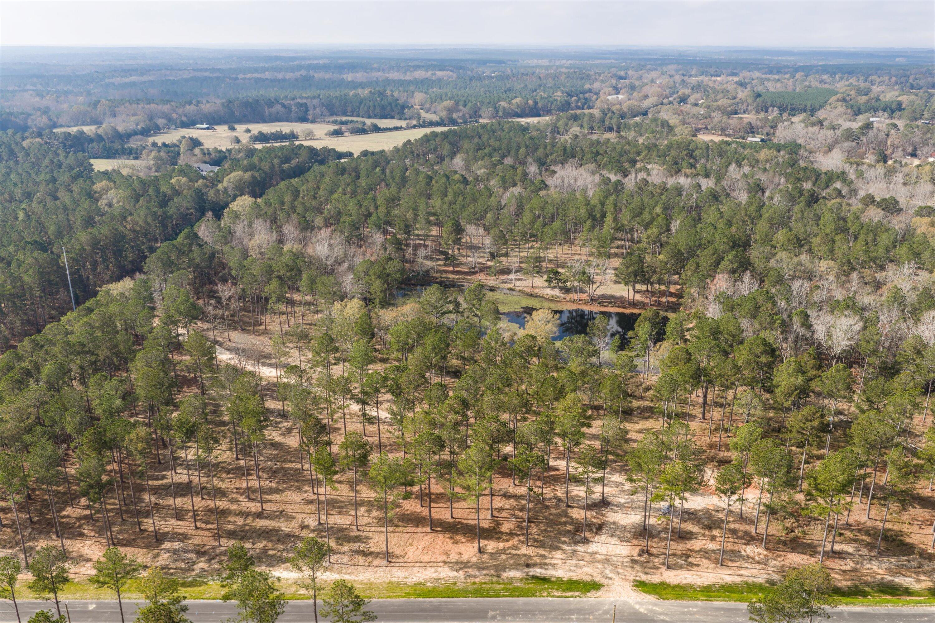 128 Beagle Chase Drive Property Photo 4