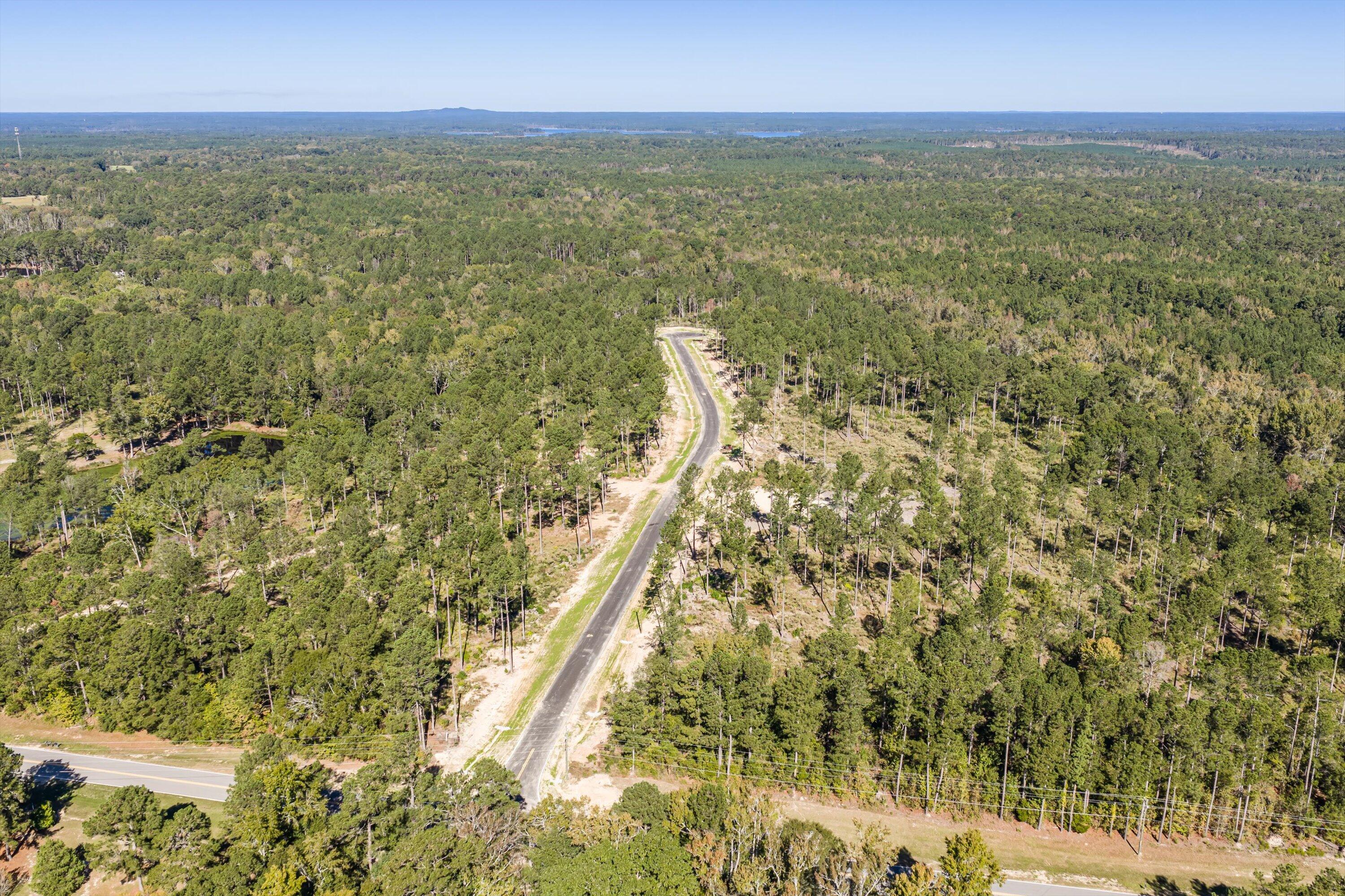 128 Beagle Chase Drive Property Photo 6