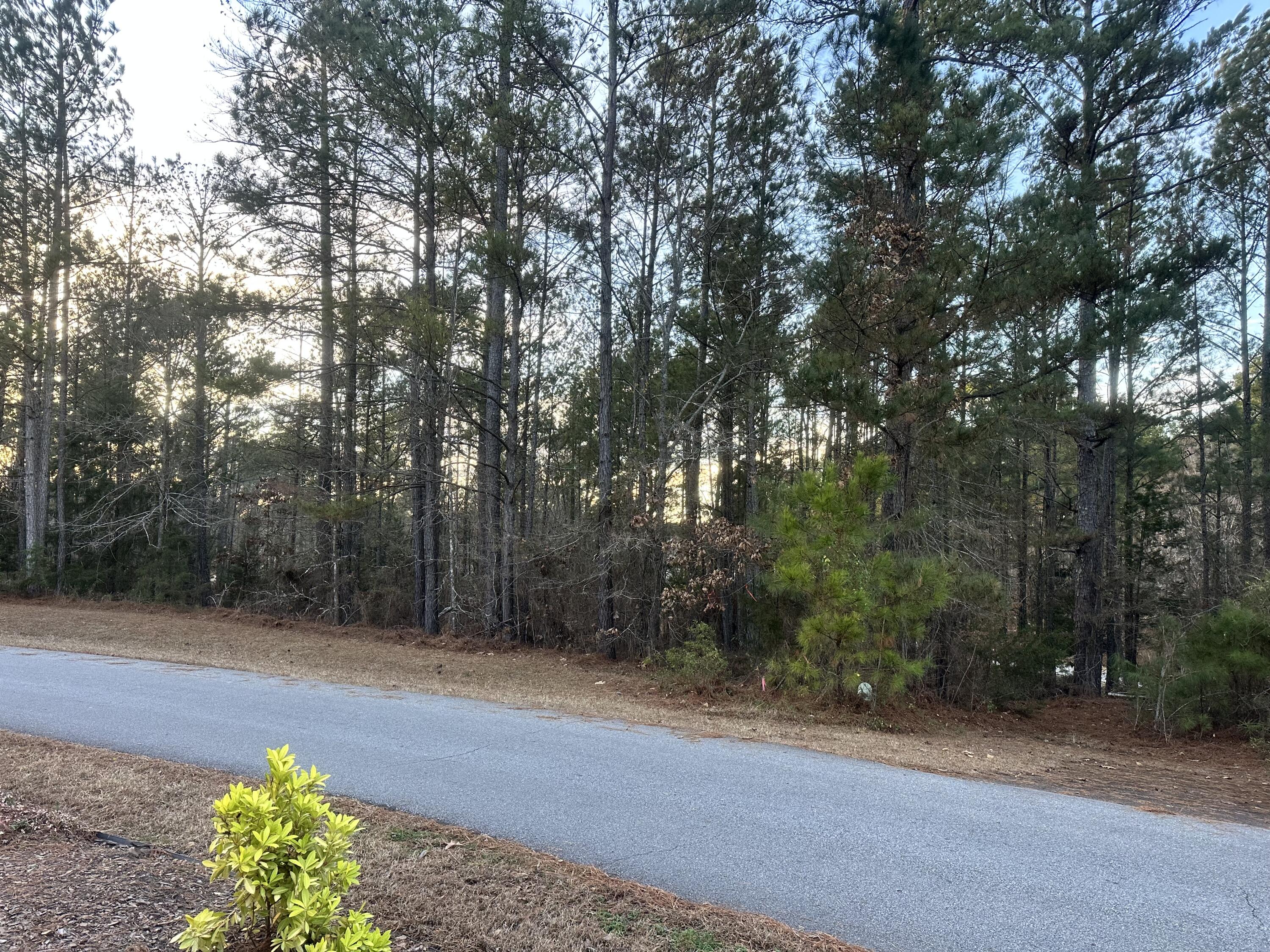 101 Bereau Drive Property Photo 6