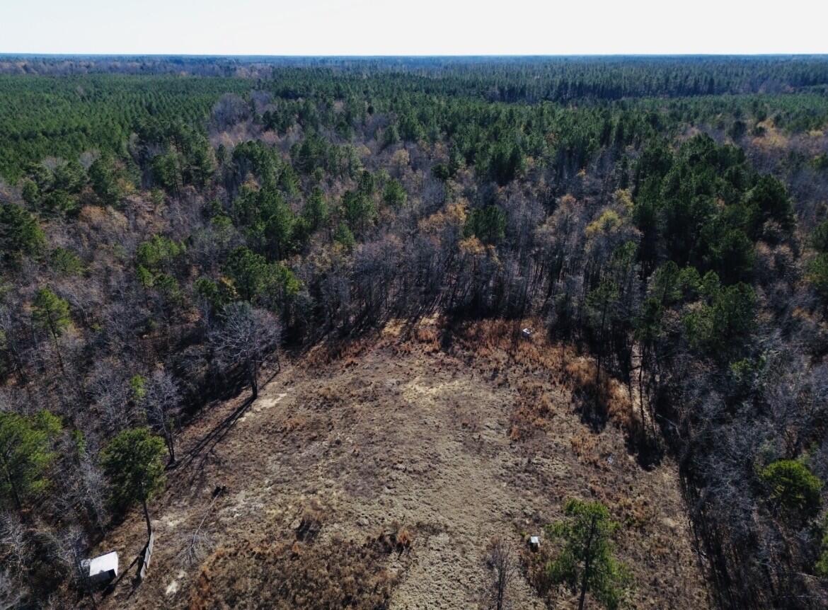 6975 Highway 80 Property Photo 2