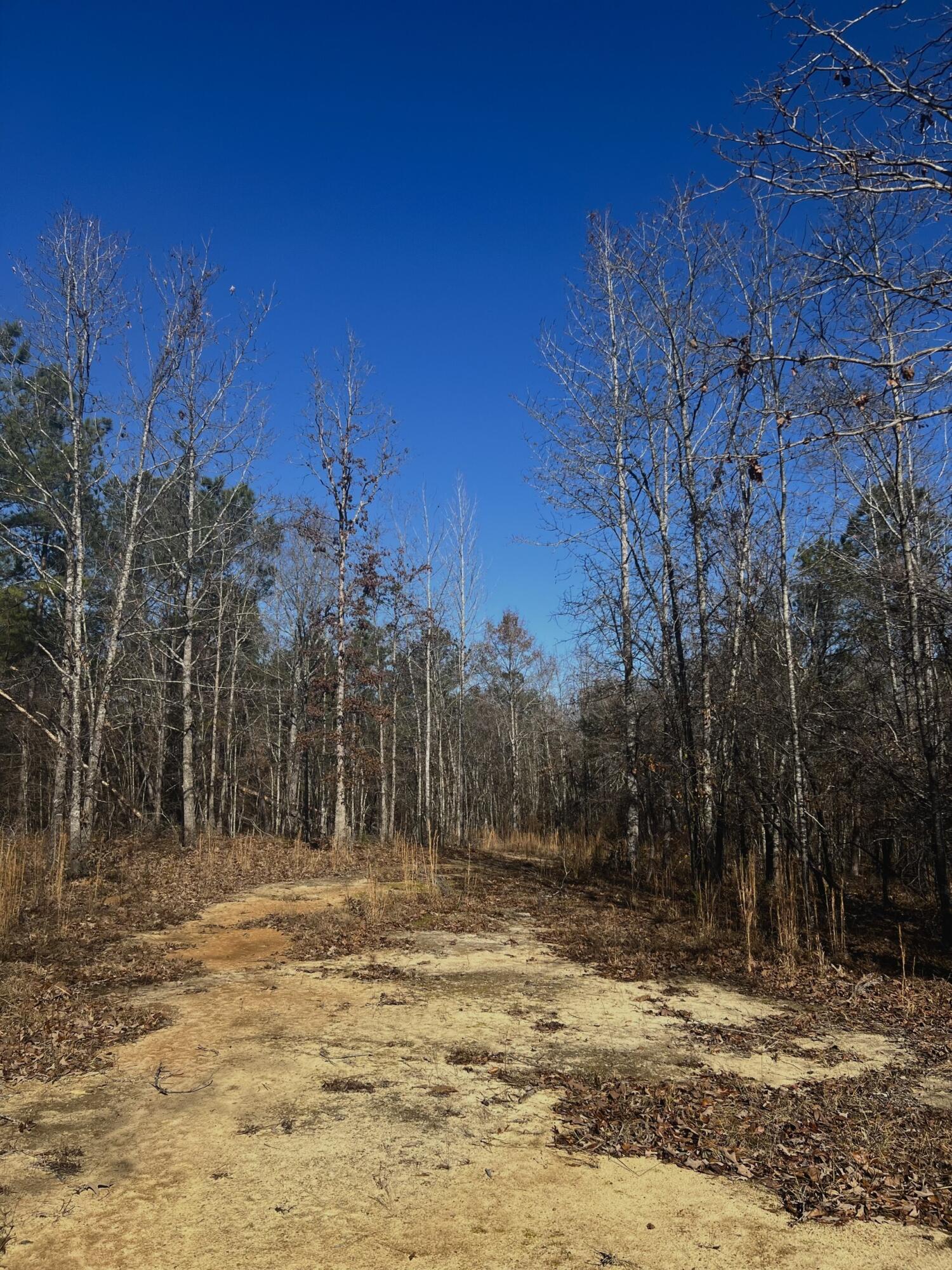6975 Highway 80 Property Photo 3