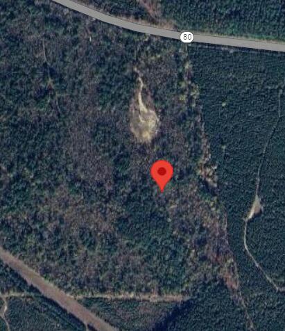 6975 Highway 80 Property Photo 4