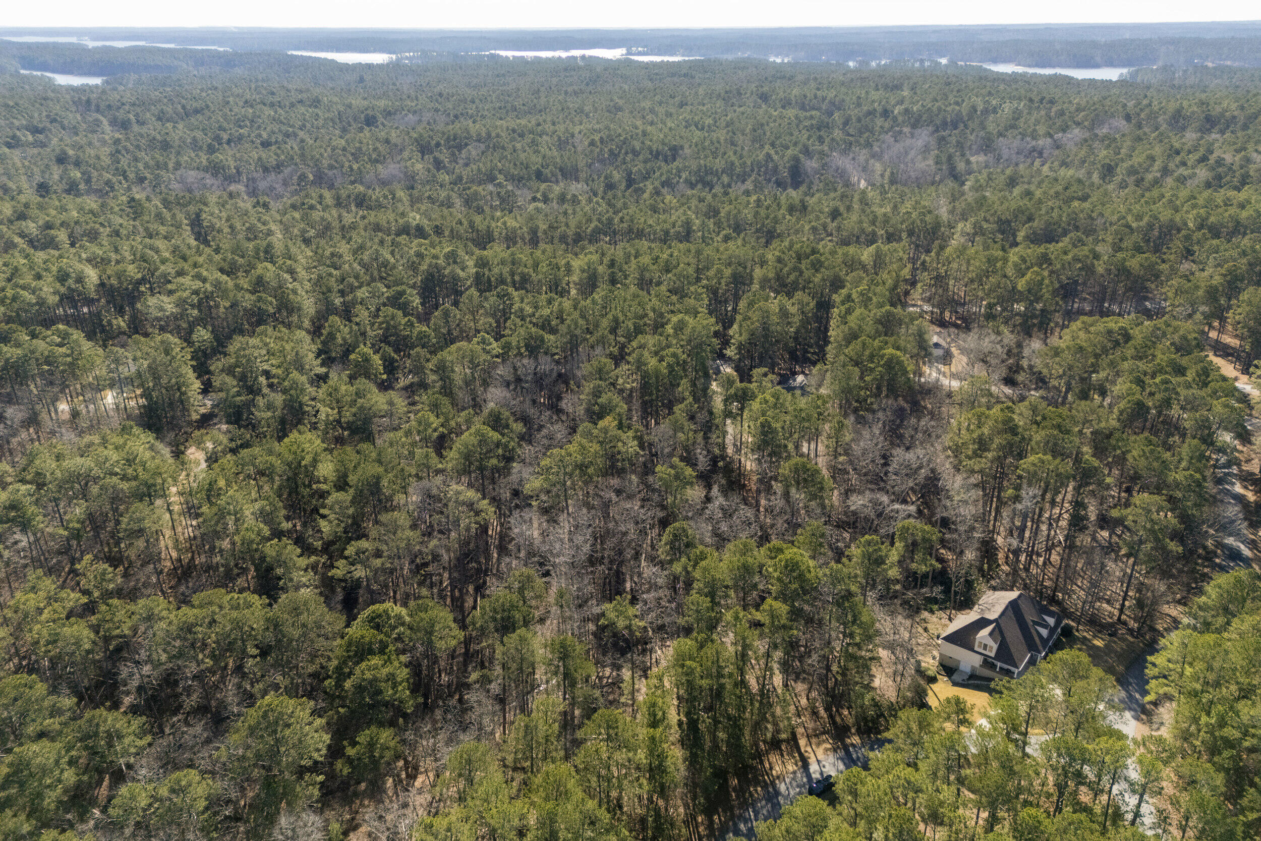 0 Butler Point Property Photo 5