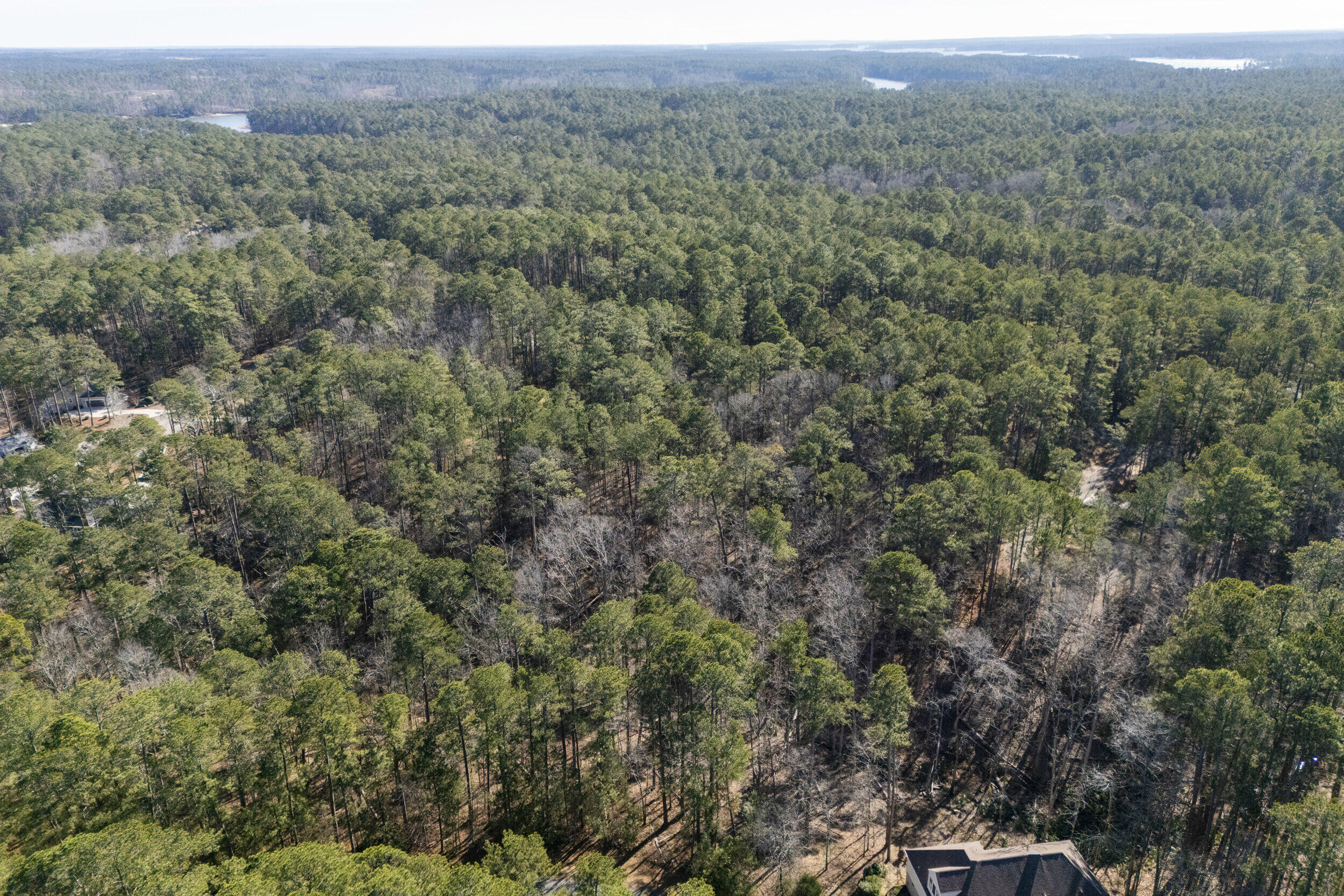 0 Butler Point Property Photo 6