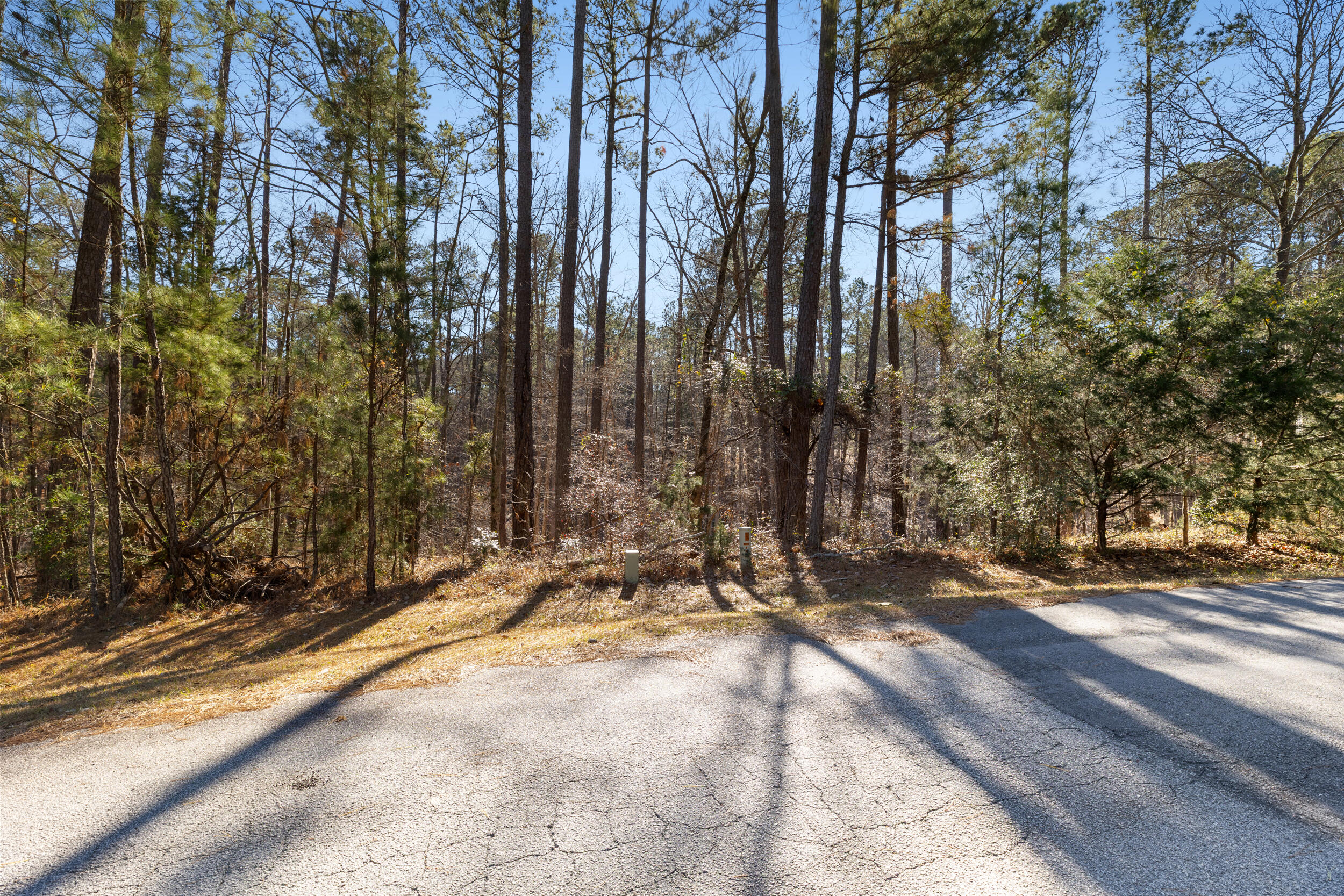 0 Butler Point Property Photo 7