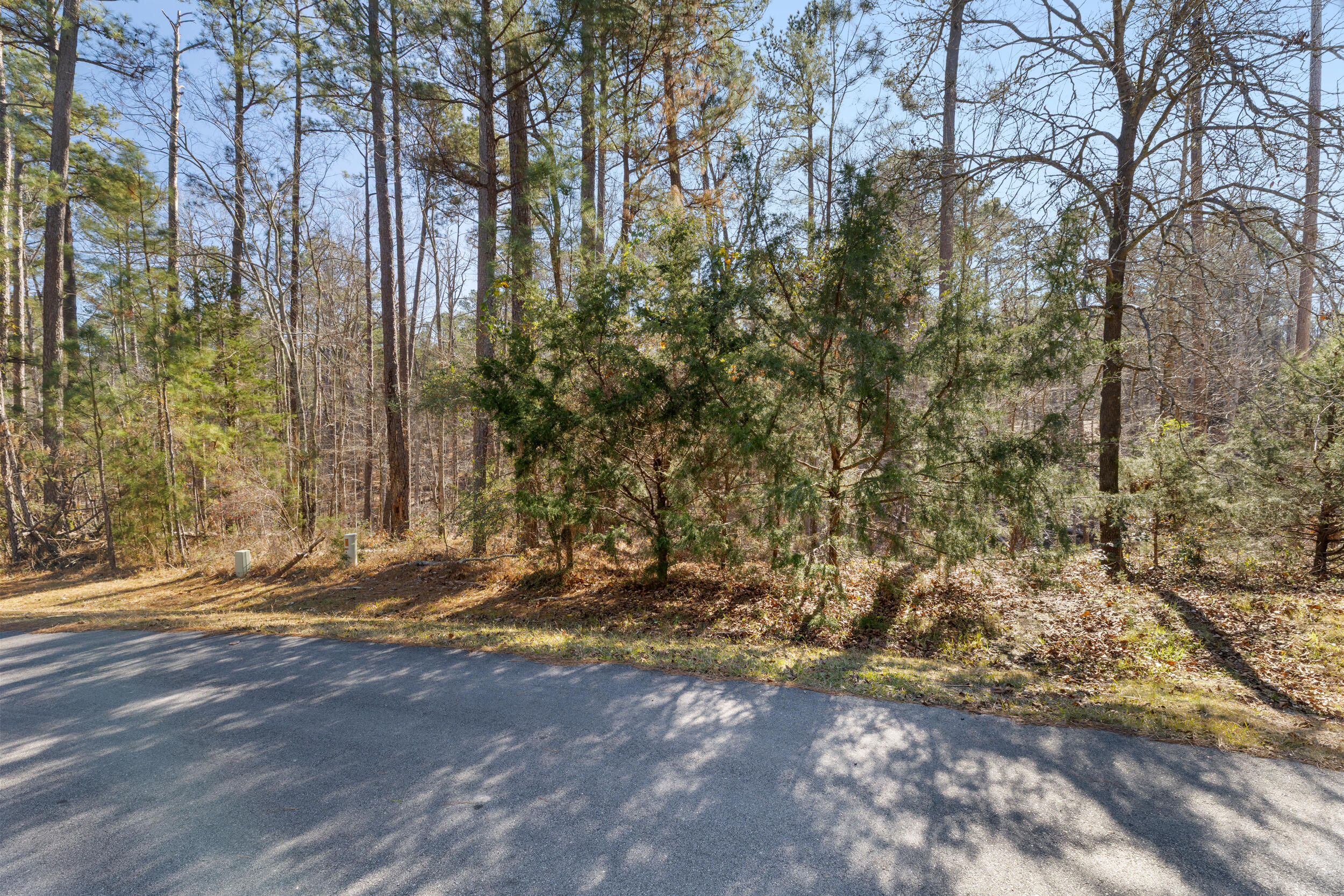 0 Butler Point Property Photo 8