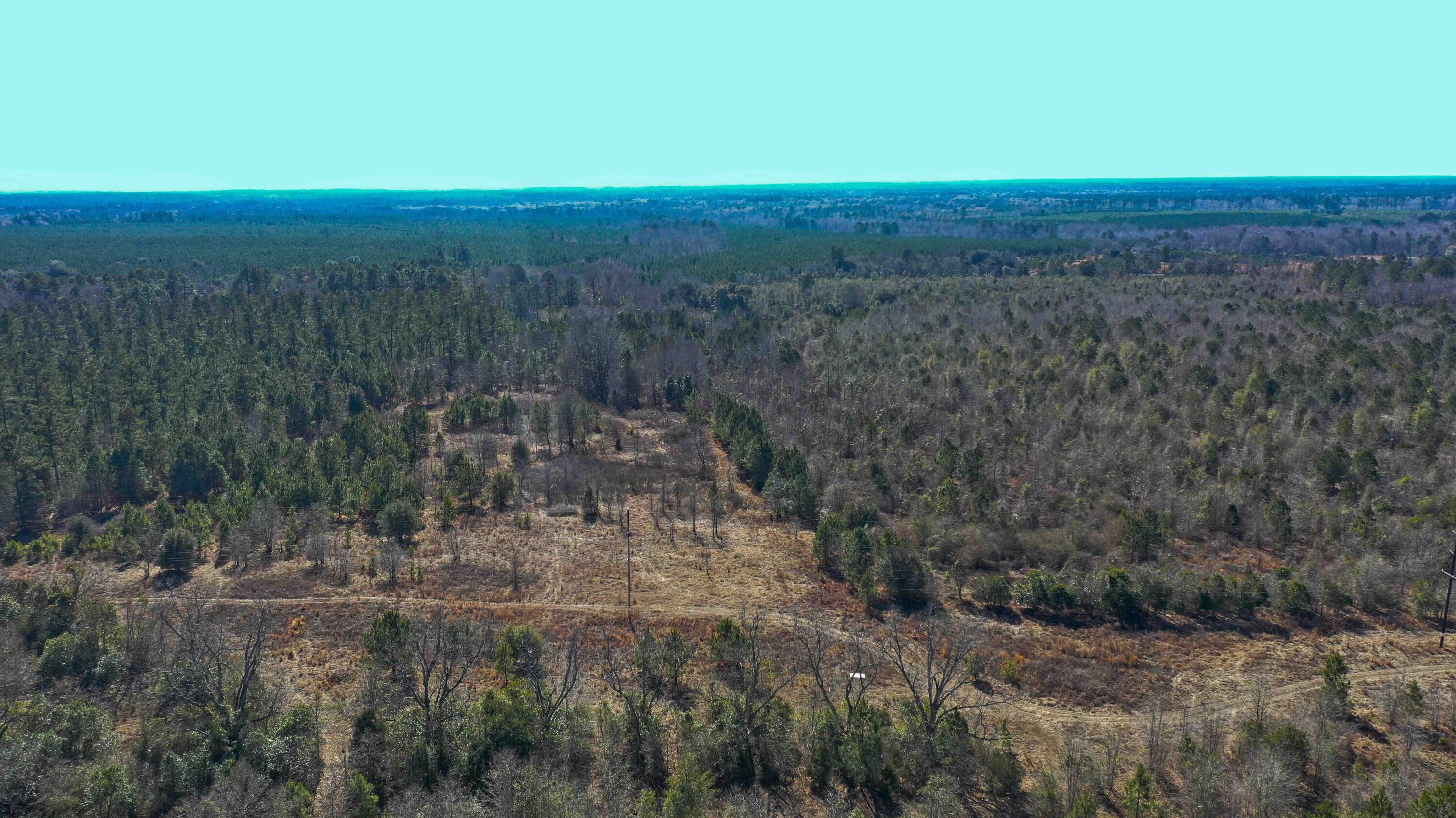 000 Hwy 78 Property Photo 6