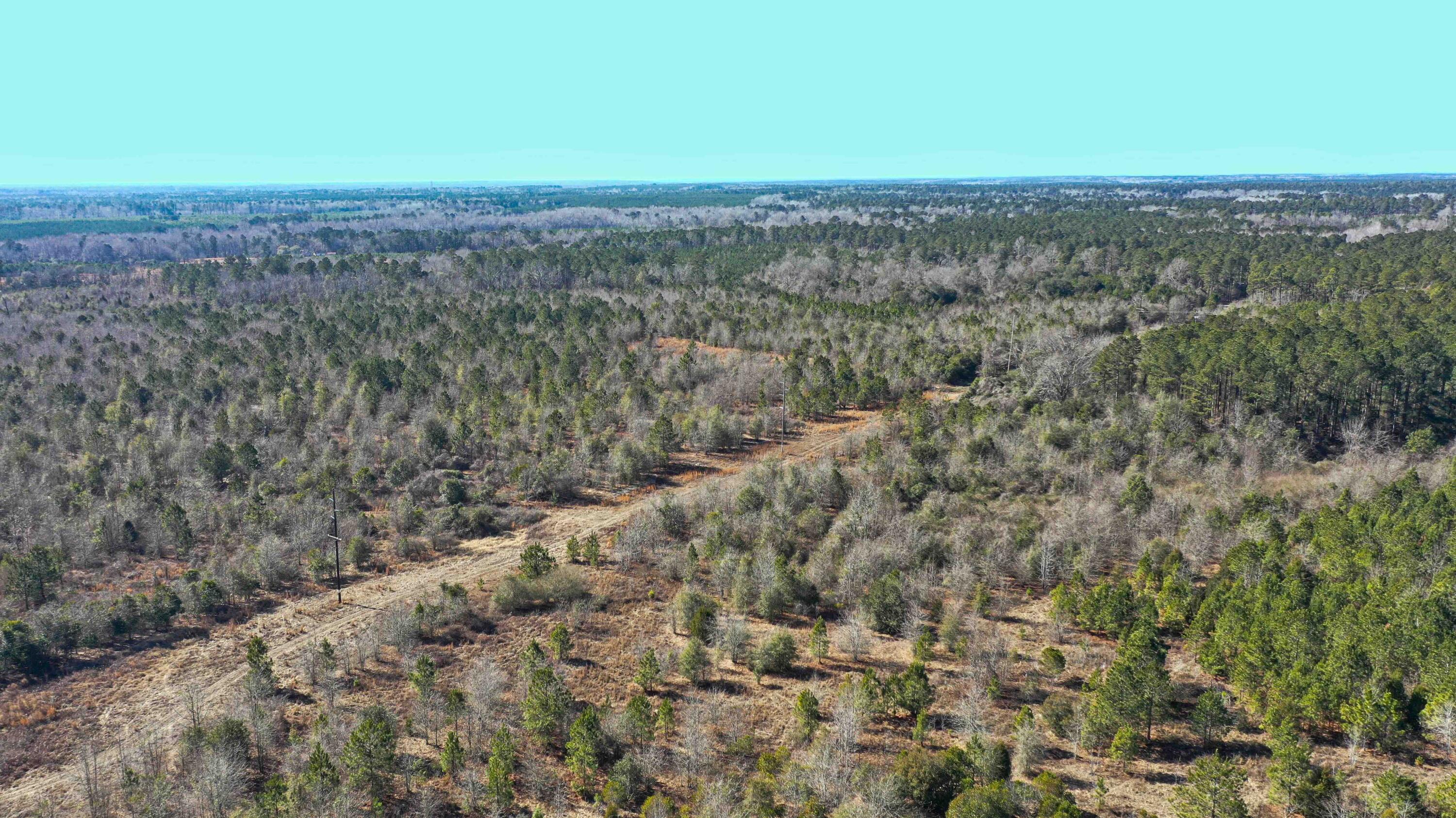 000 Hwy 78 Property Photo 7