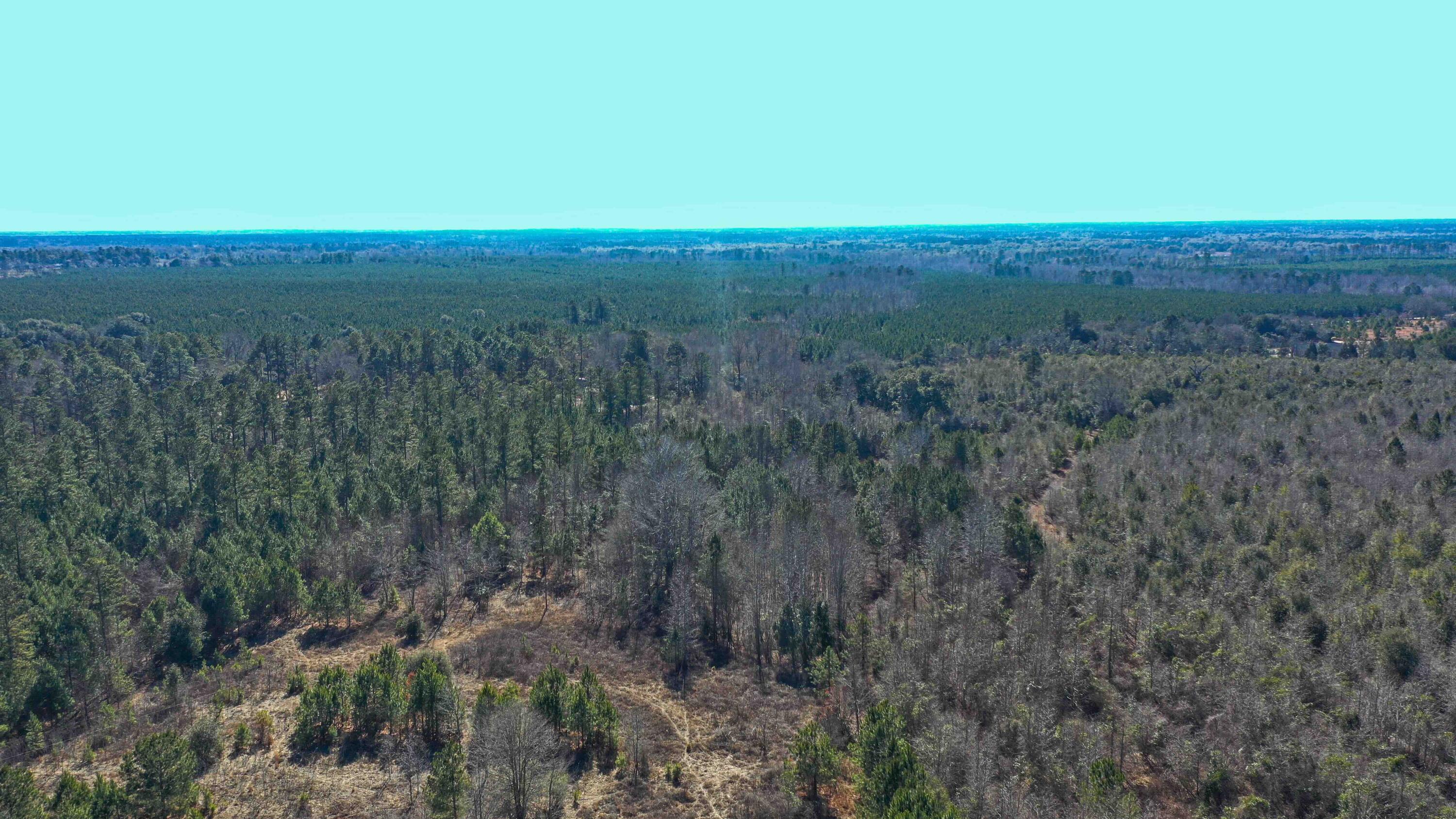 000 Hwy 78 Property Photo 10