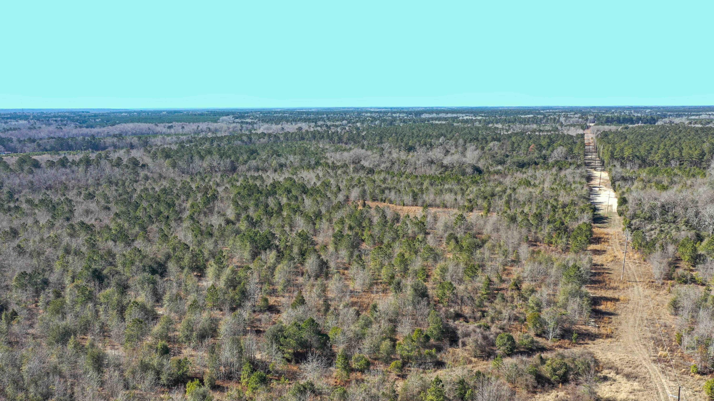 000 Hwy 78 Property Photo 11