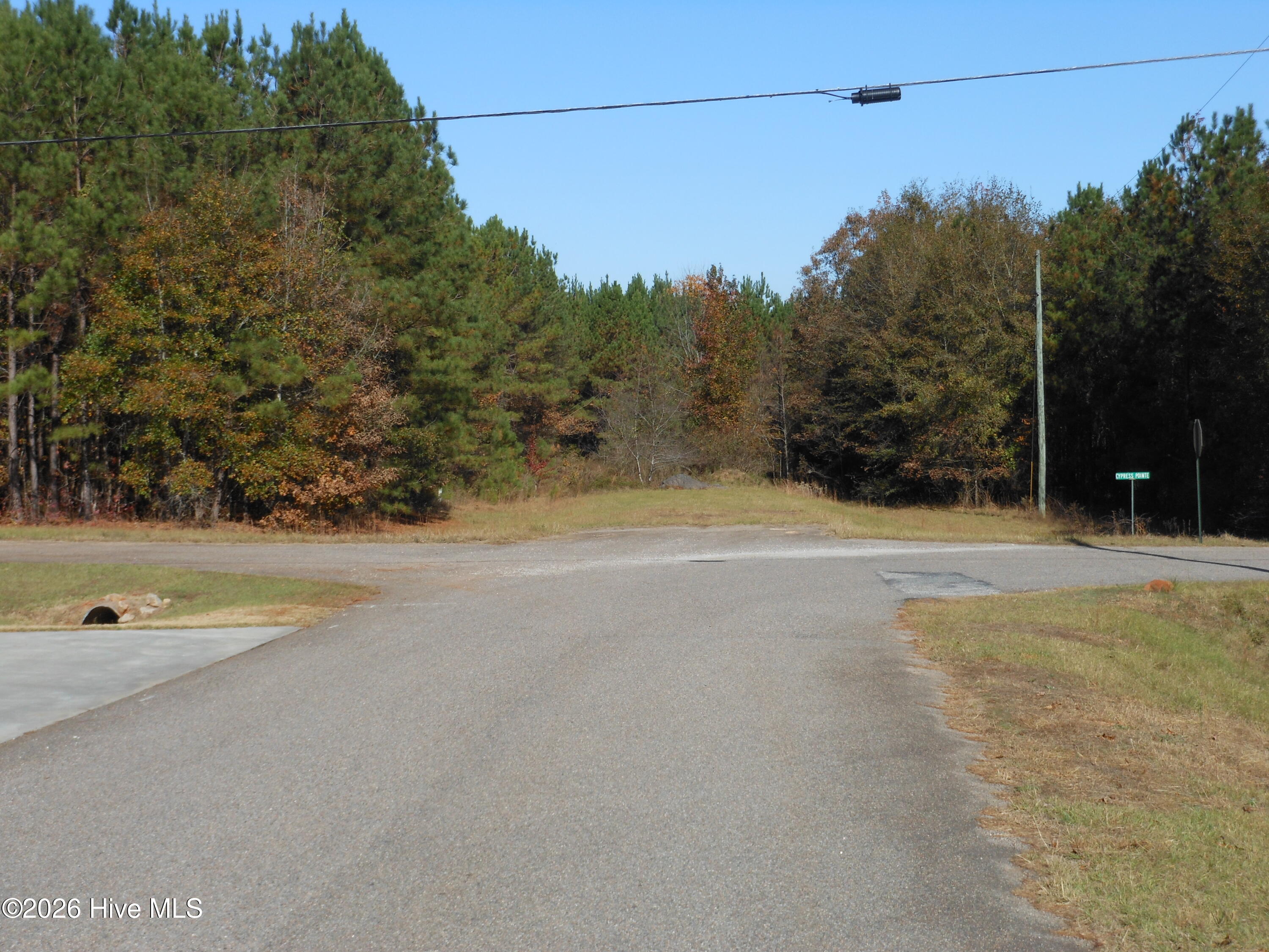 1447 Greiner Circle Property Photo 4