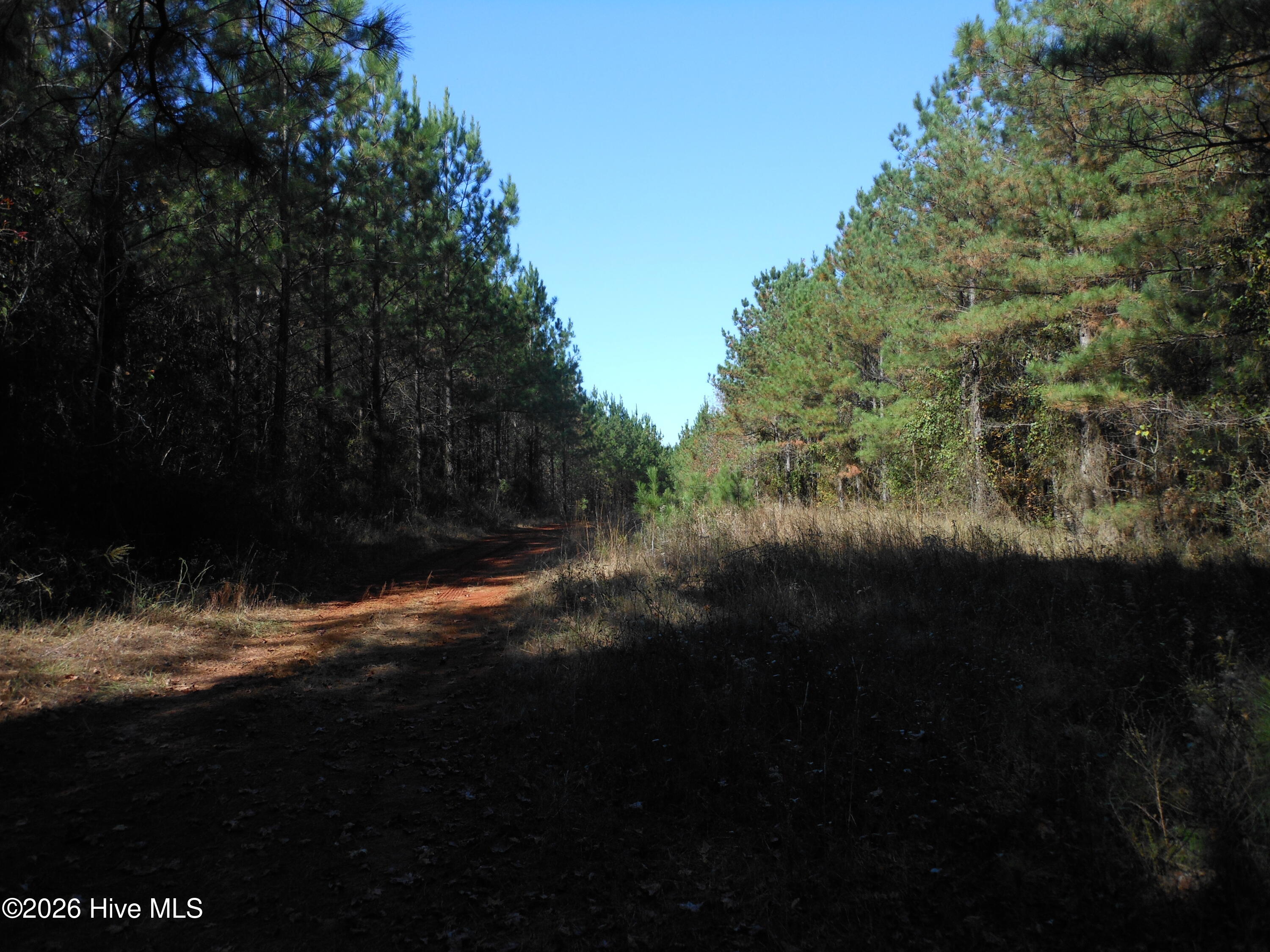 1447 Greiner Circle Property Photo 6