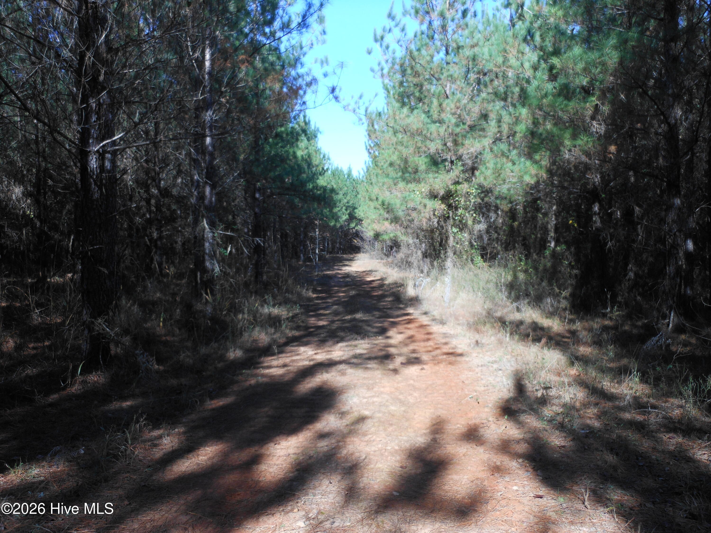 1447 Greiner Circle Property Photo 7