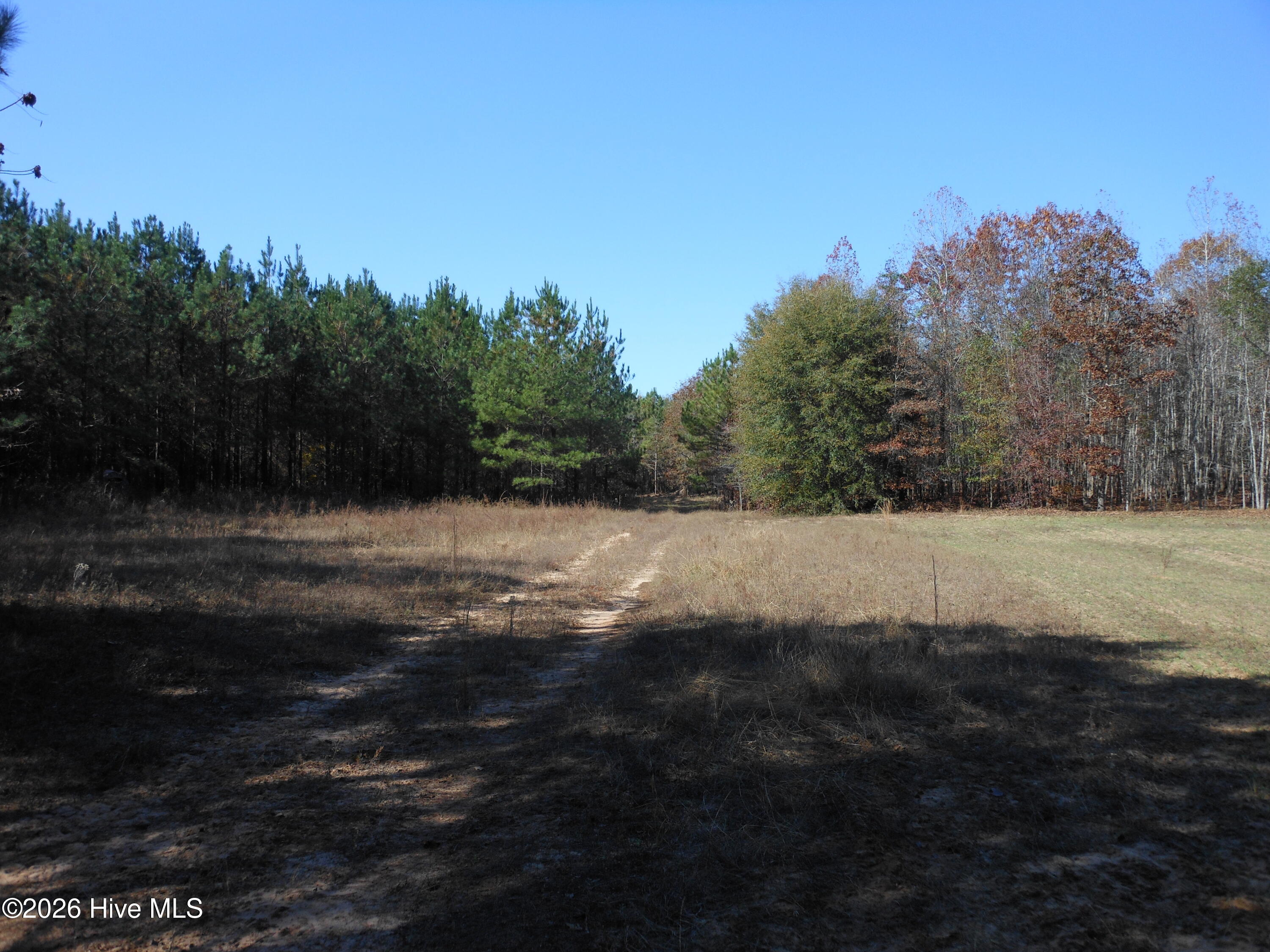 1447 Greiner Circle Property Photo 8