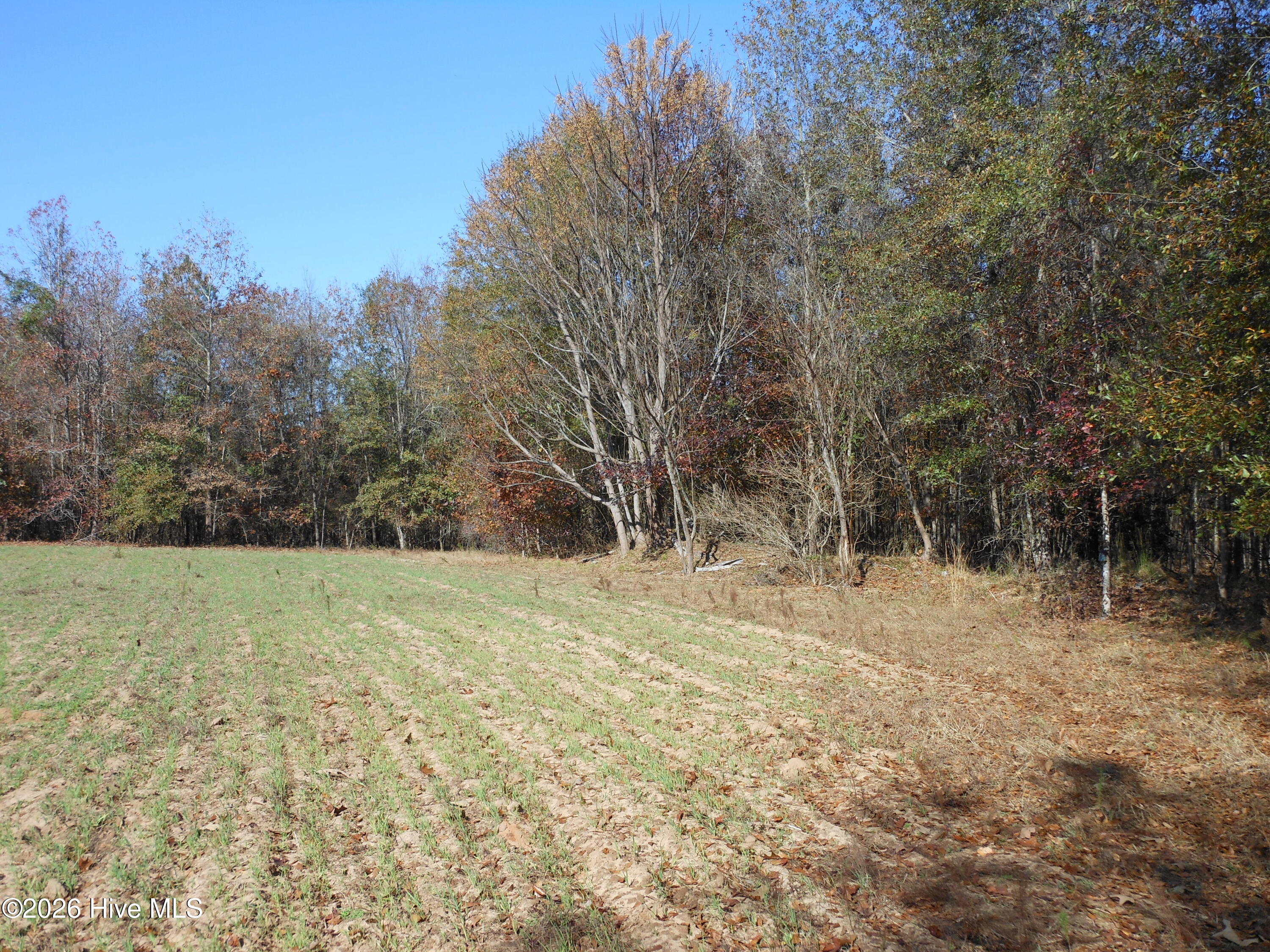 1447 Greiner Circle Property Photo 9