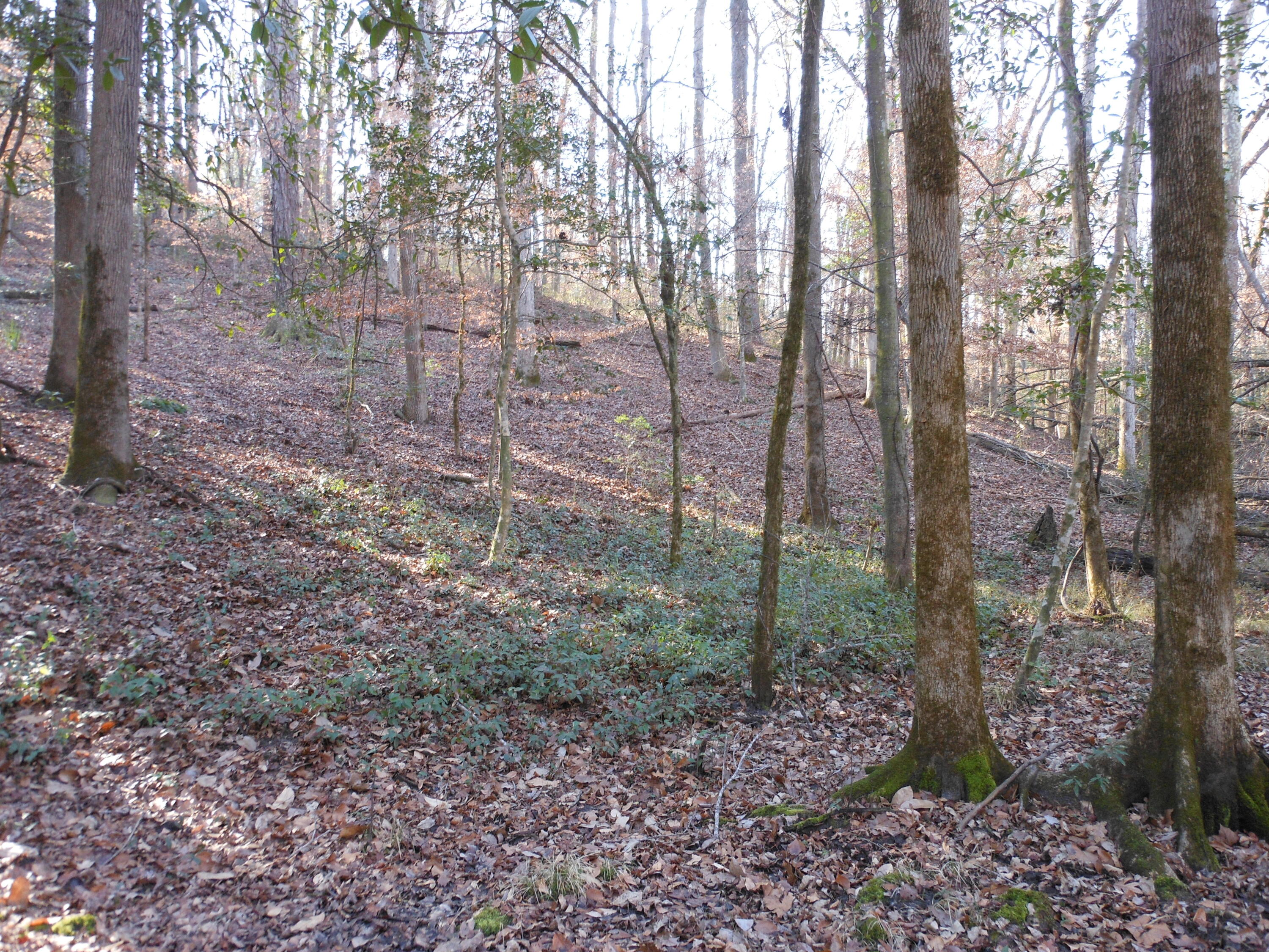 0 Ponderosa Road Property Photo 33