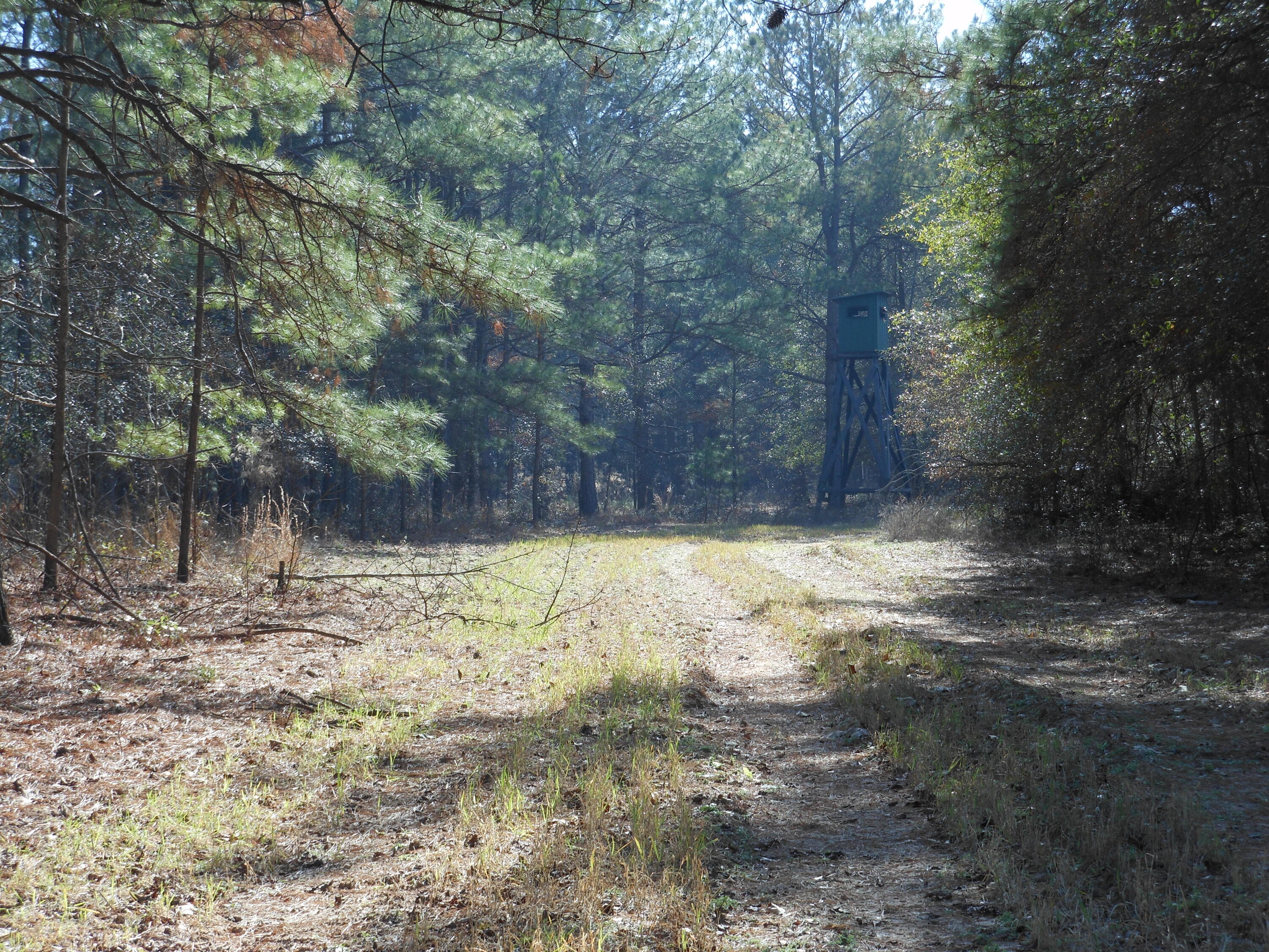 0 Ponderosa Road Property Photo 45