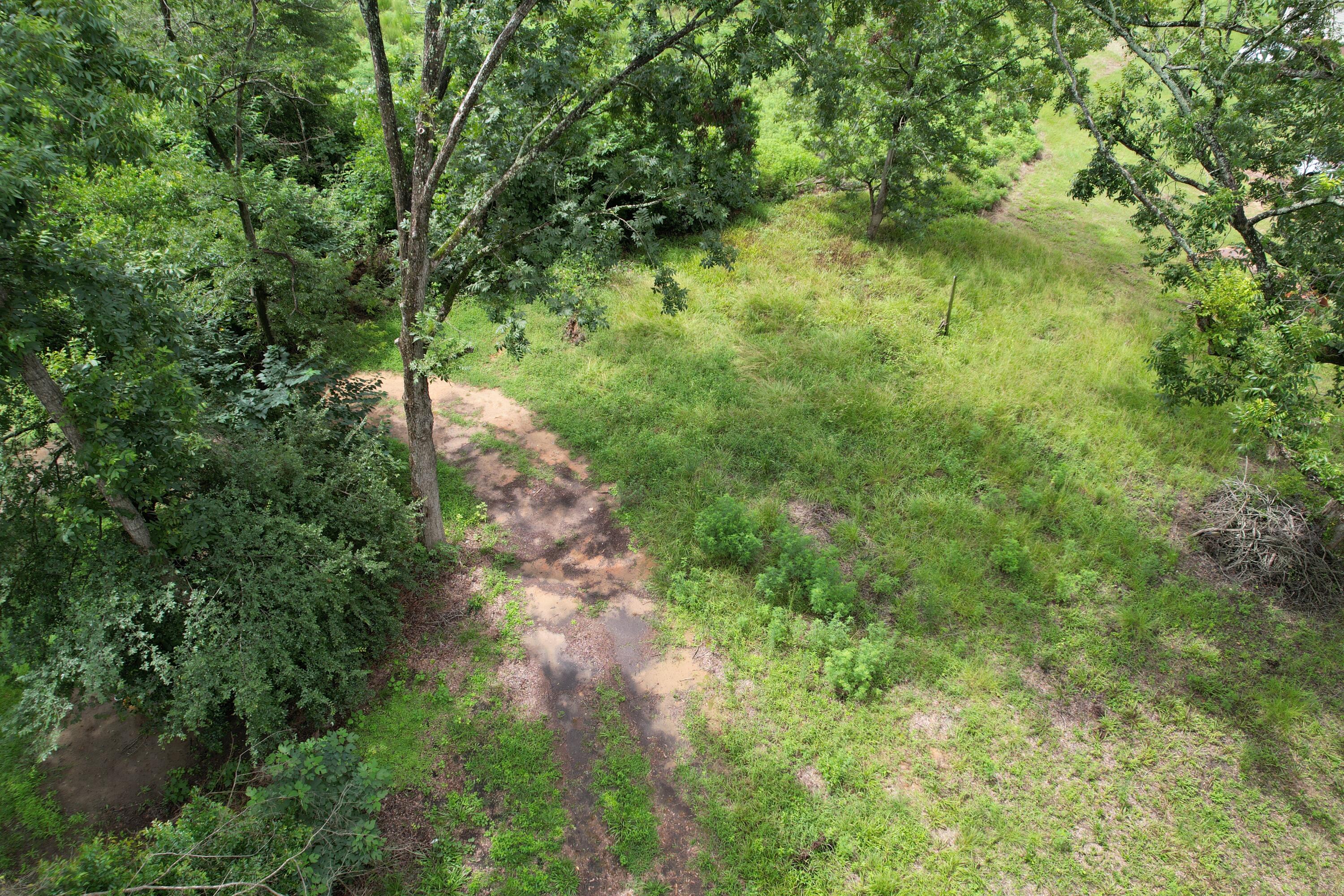 0 Old Waynesboro Road Property Photo 7