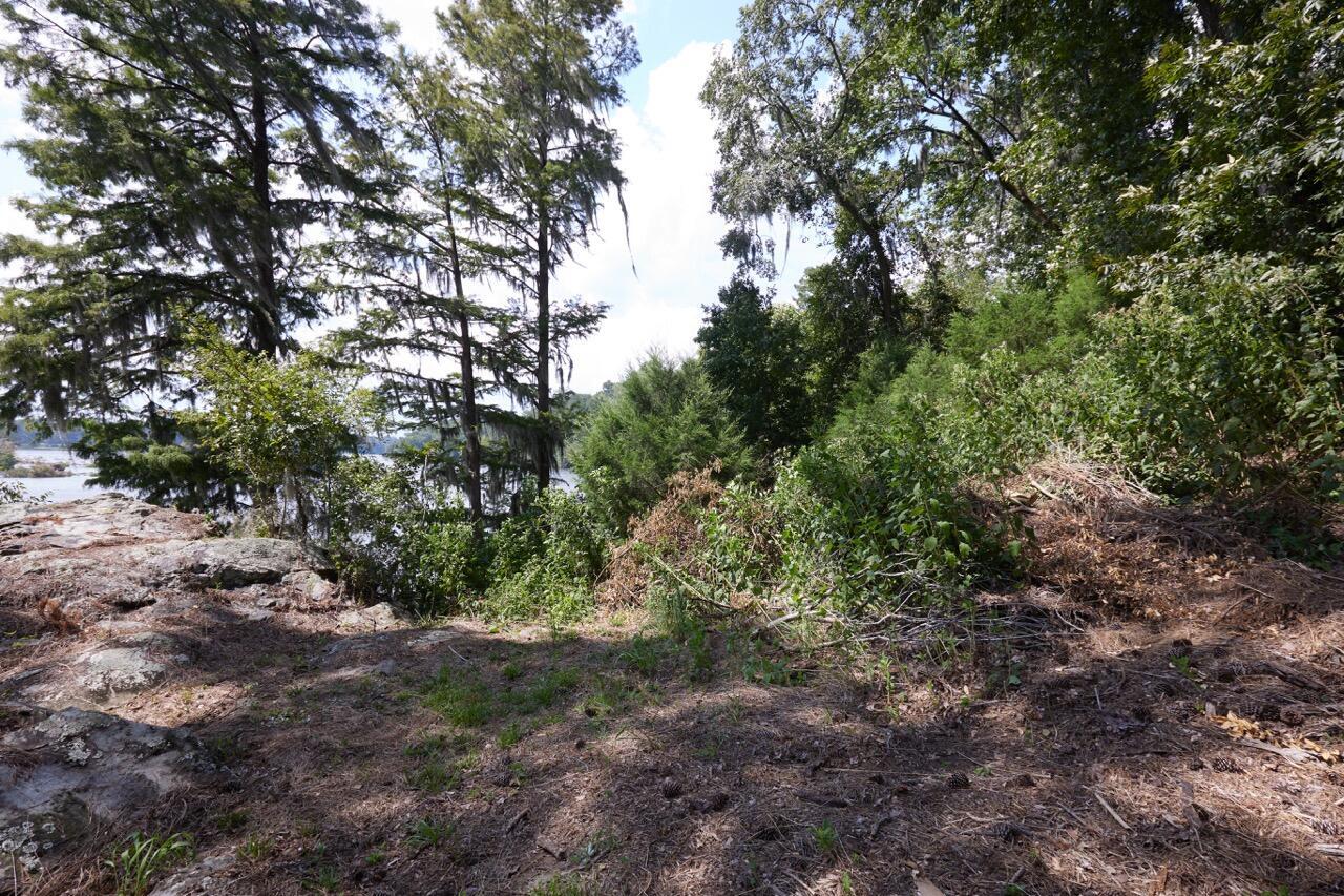 359 43 Osprey Point Property Photo 8