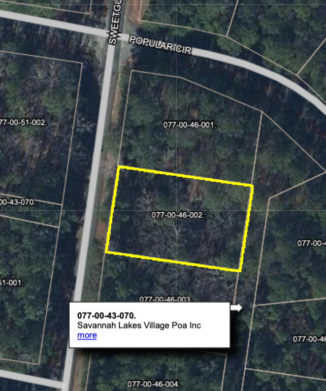 L2b46 Sweetgum Loop Property Photo 1