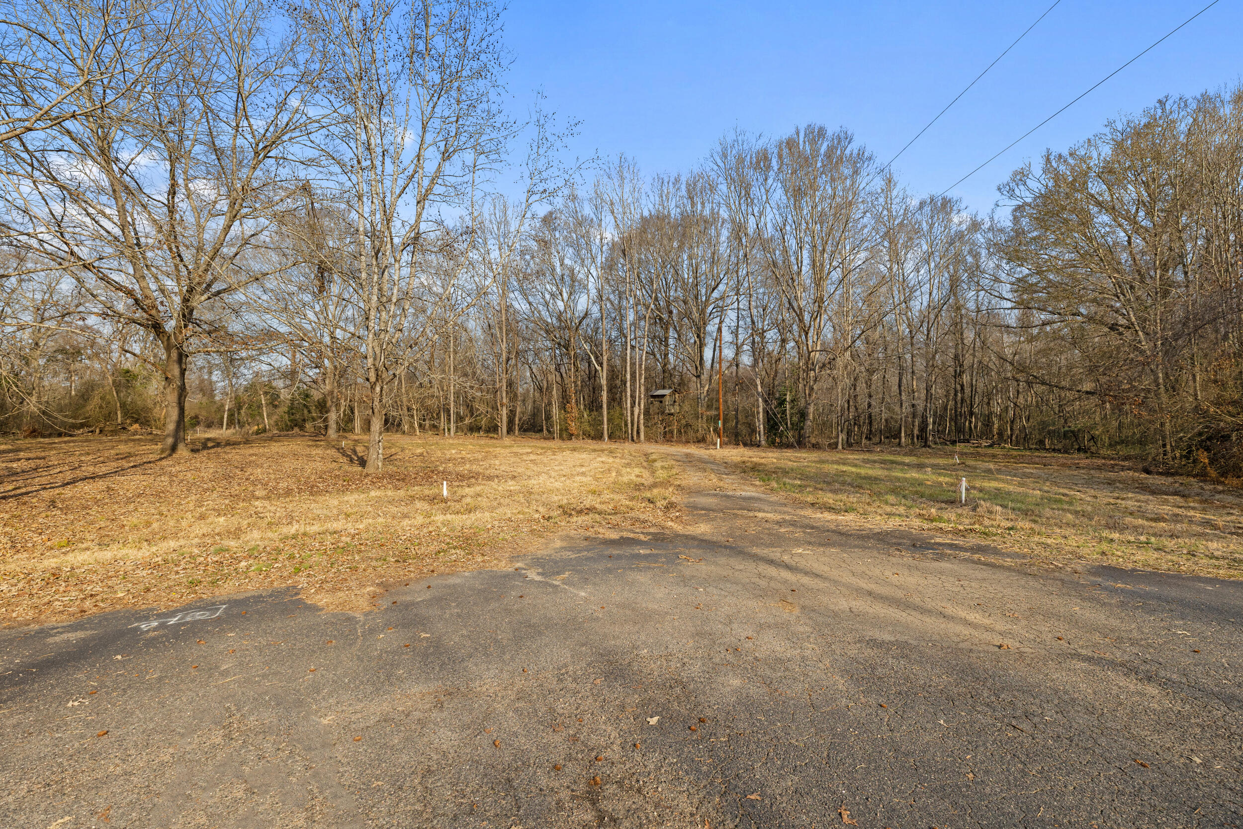 2281 Riverside Plantation Road Property Photo 8