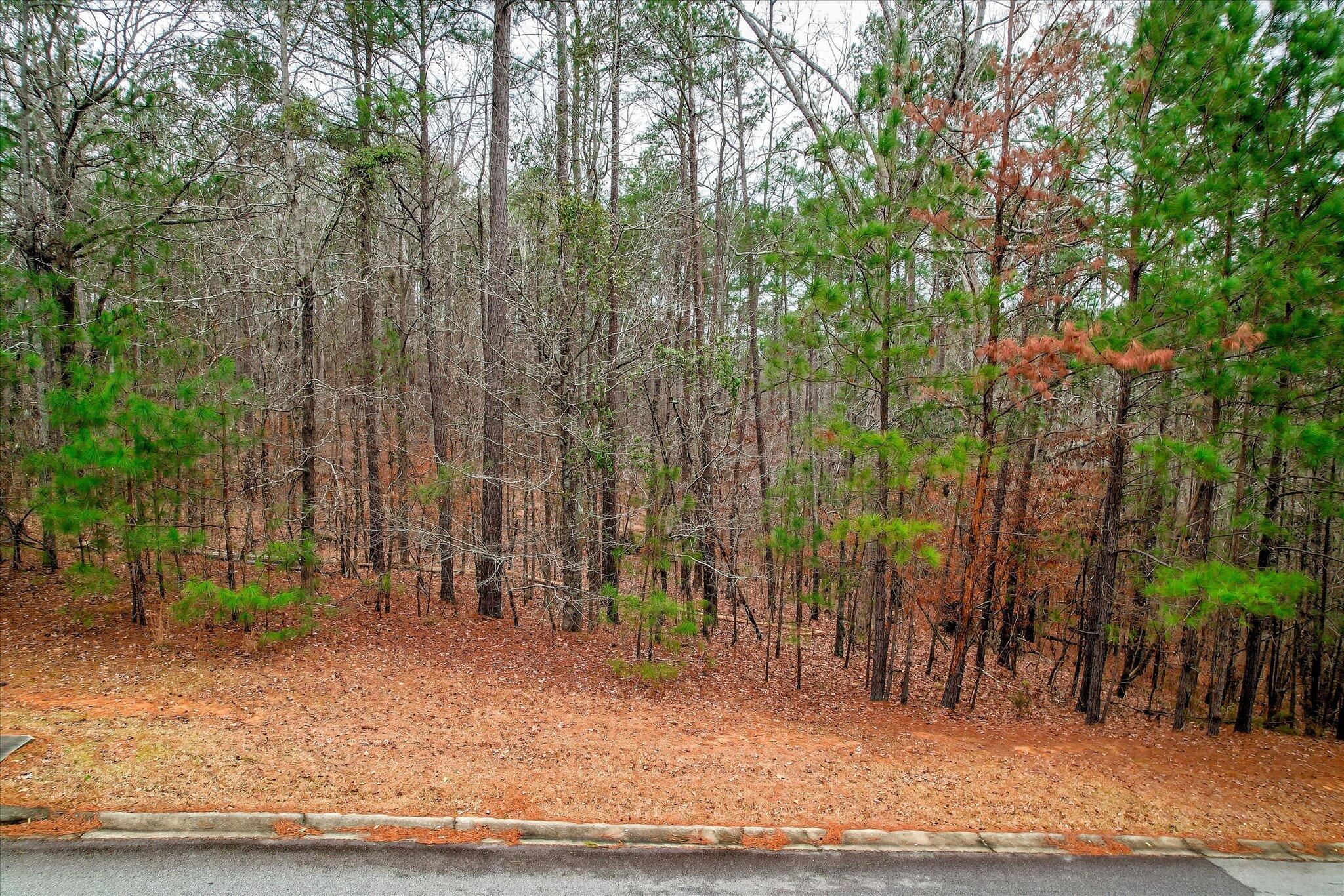 0000 Collin Reeds Road Property Photo 2